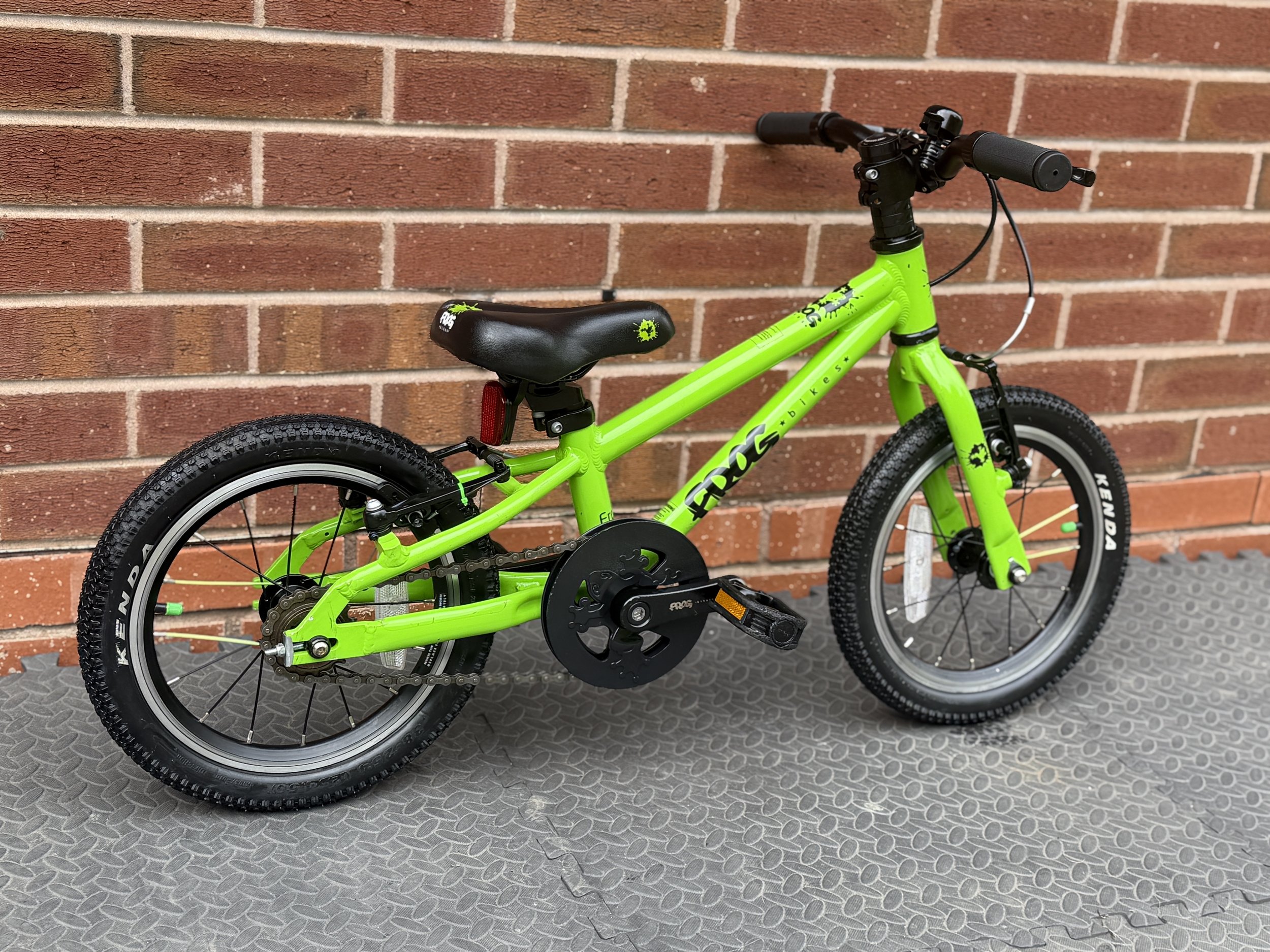 Green Frog 40 7 .jpg