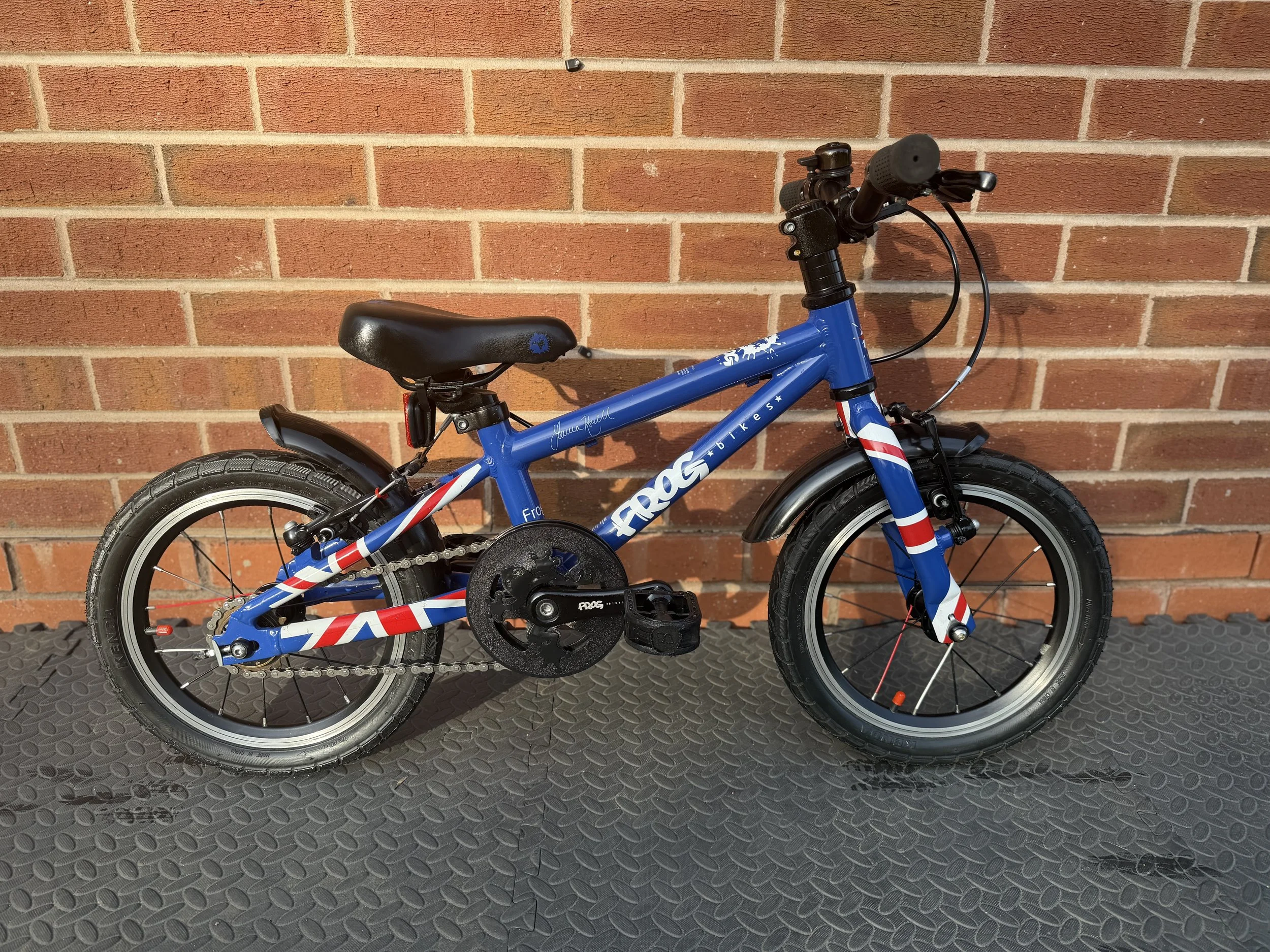 Blue Frog Bike 43 6 .jpg