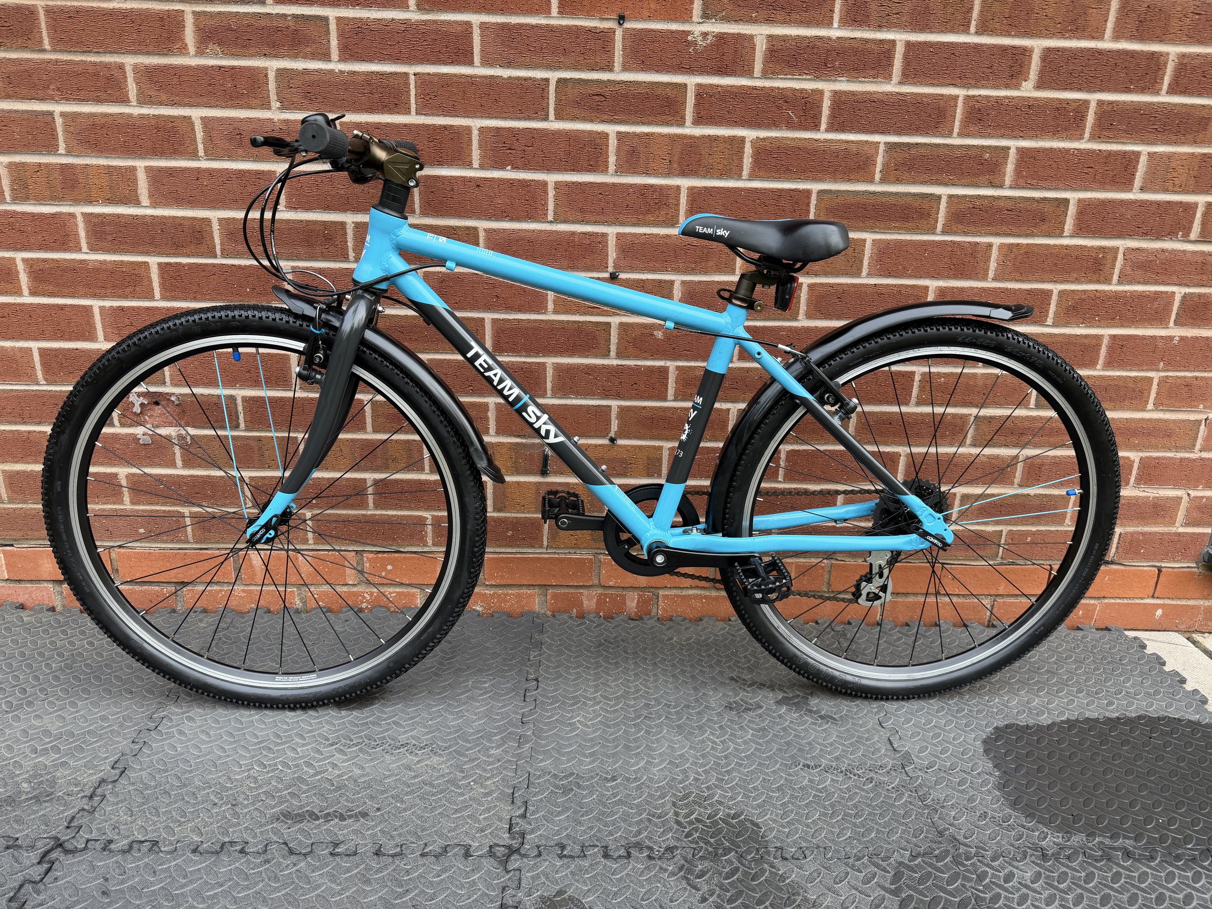 Team Sky Frog 73 1 .jpg