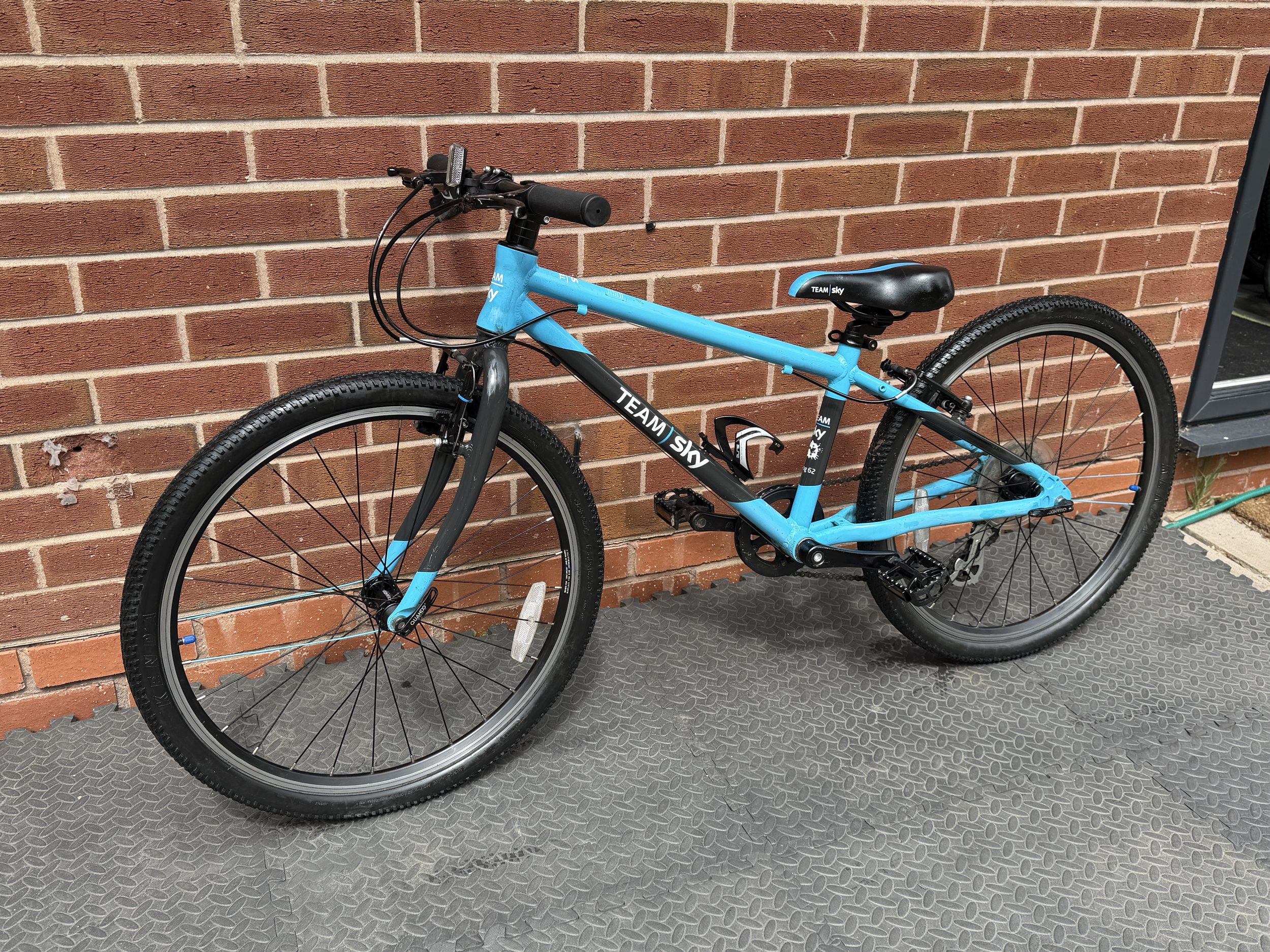 Team Sky Frog Bike 2 .jpg
