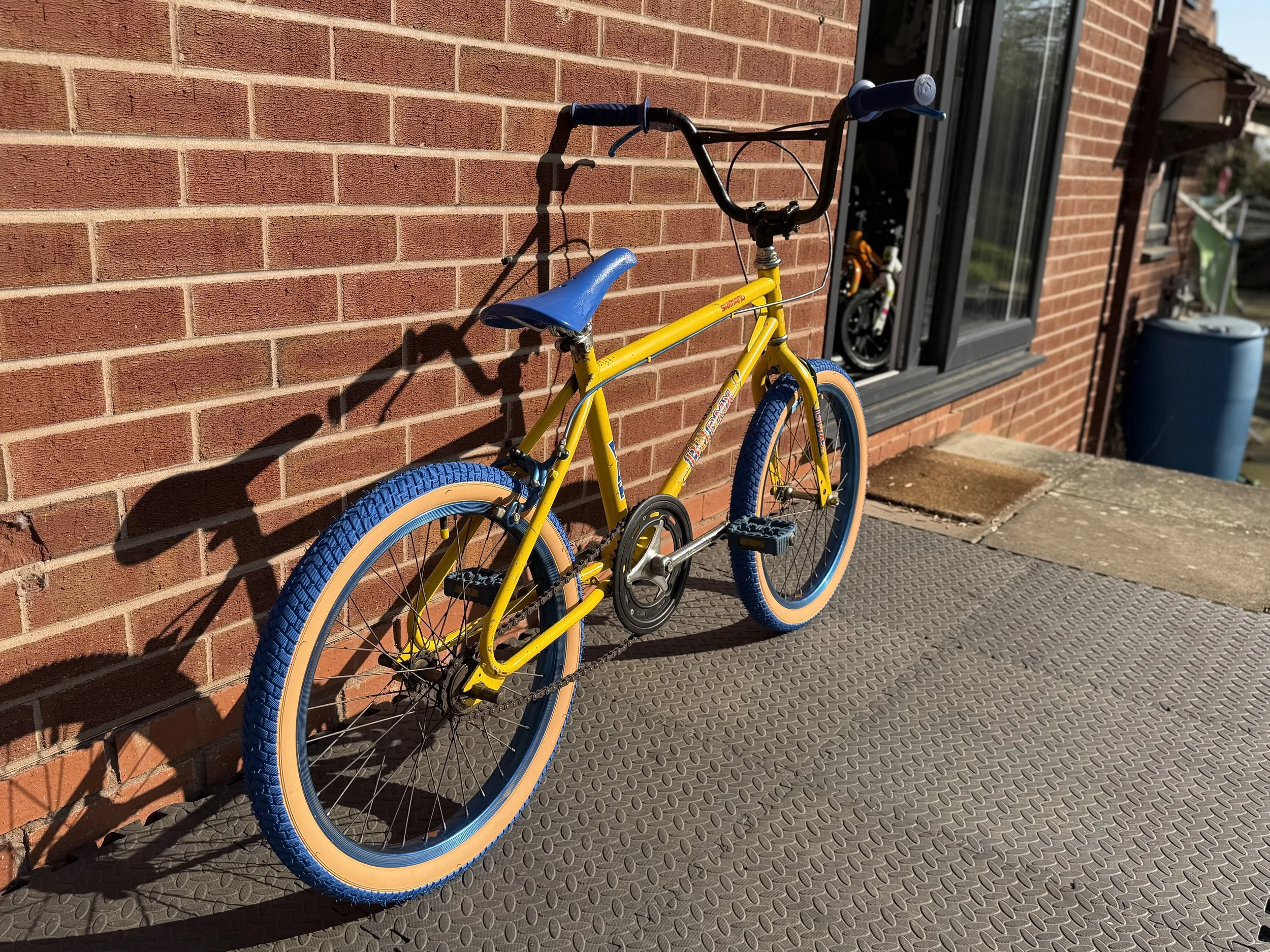 Old School BMX 15 .jpg