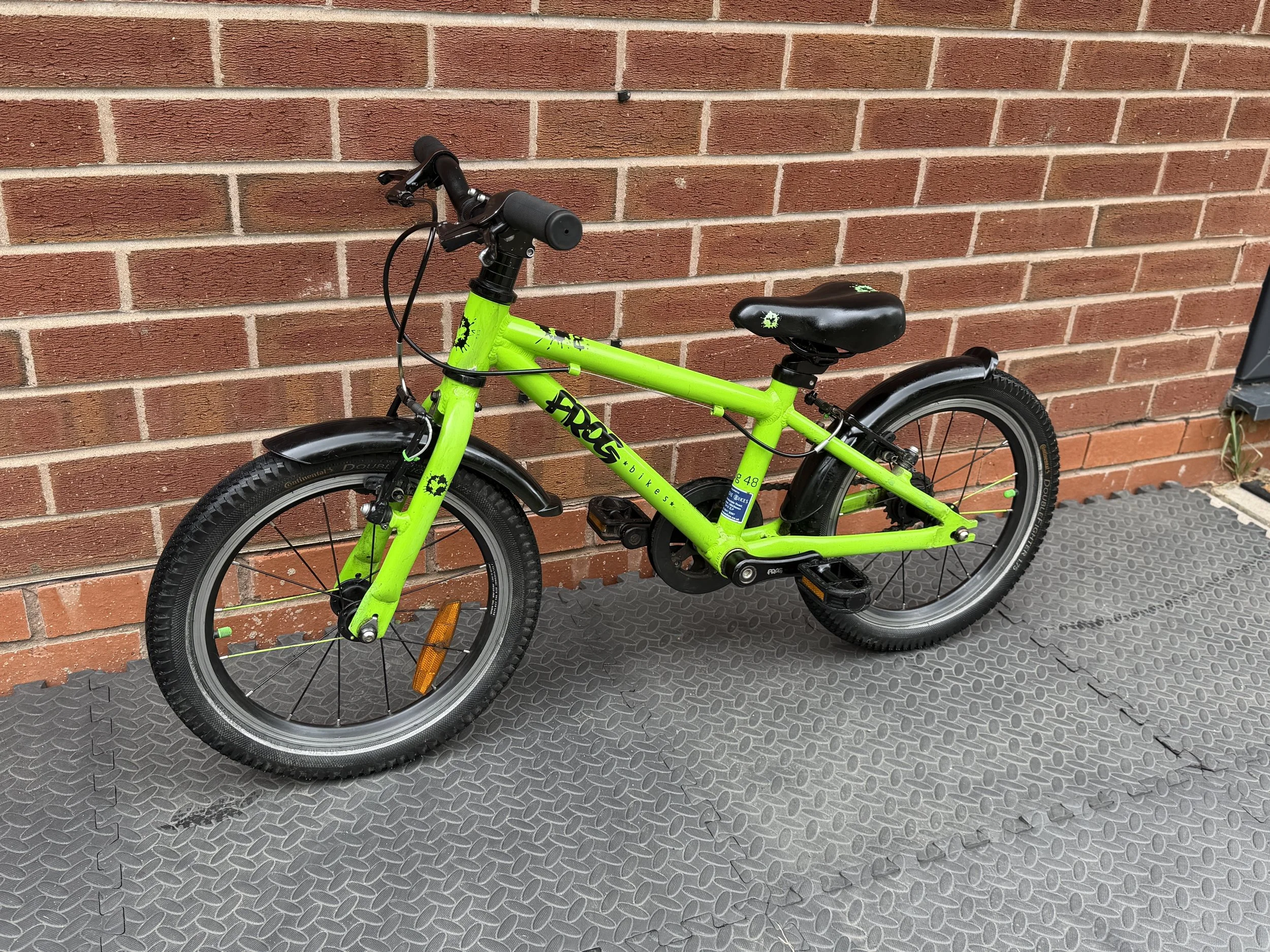 Green Frog first pedal bike 2 .jpg