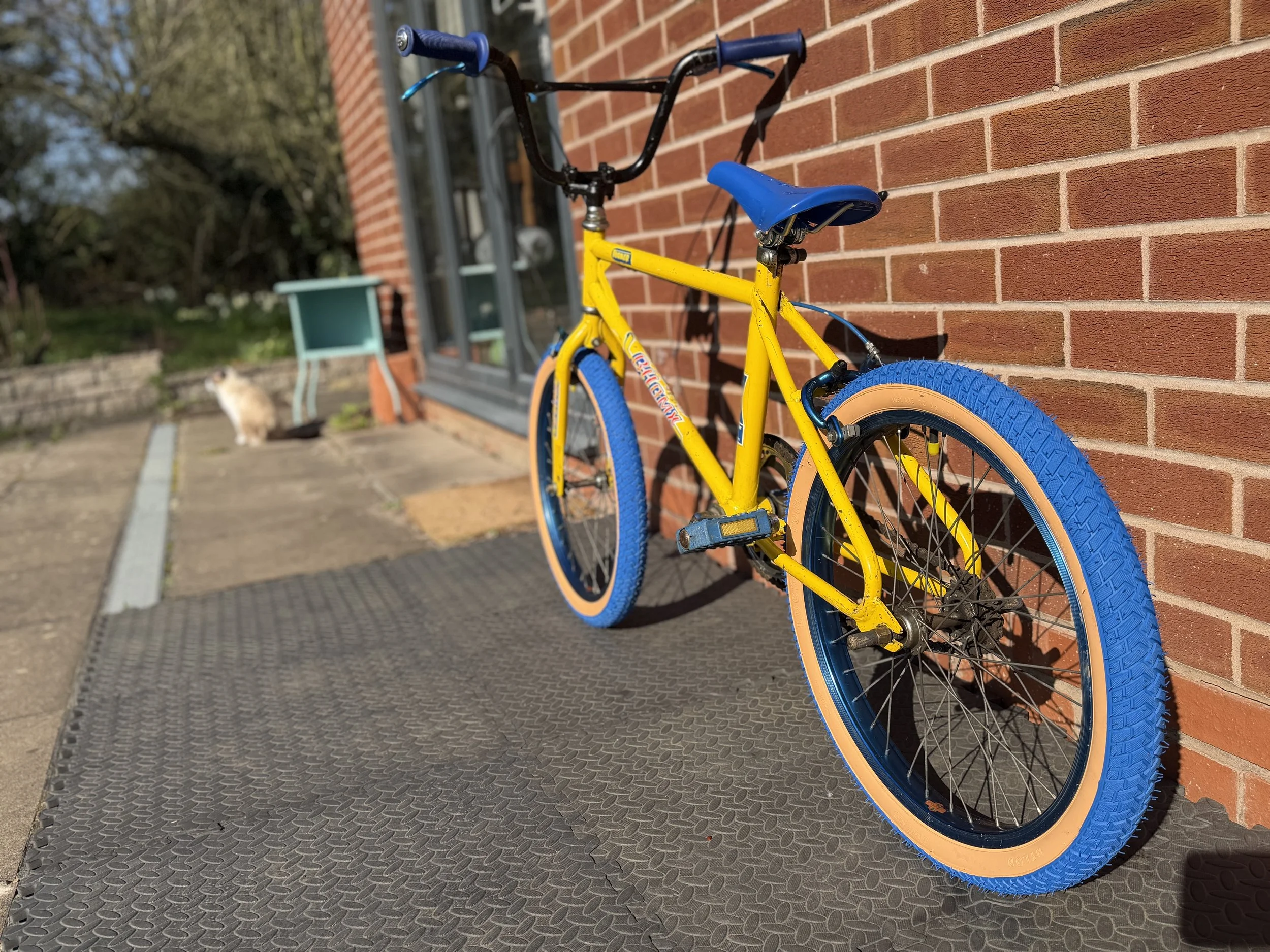 Old School BMX 4 .jpg