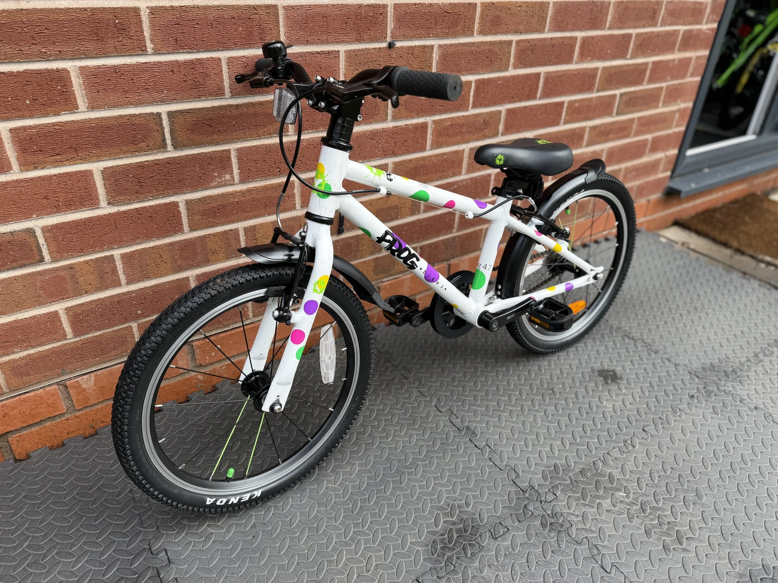 Spotty Frog 47 2.jpg