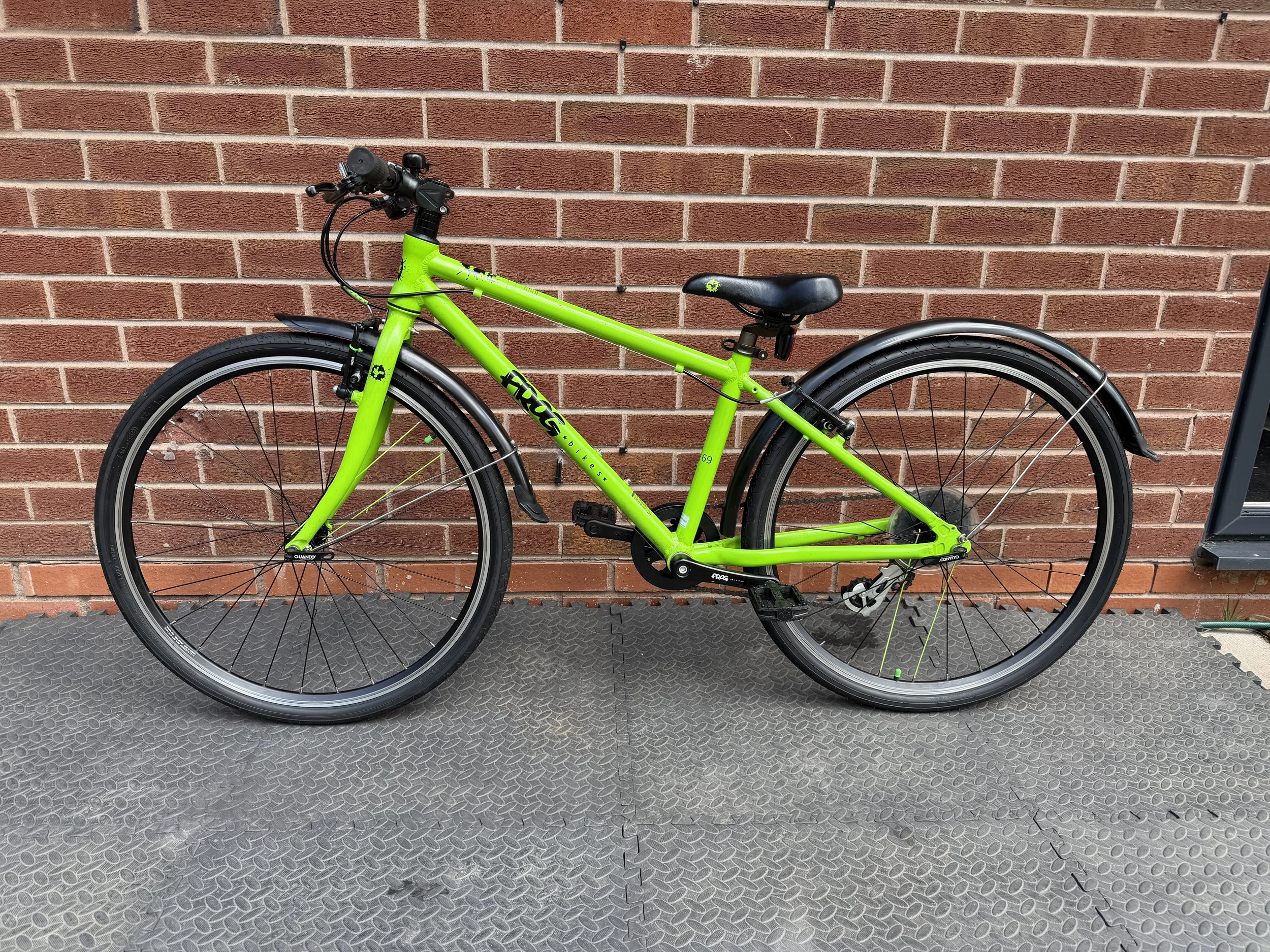 Green Frog 69 1 .jpg