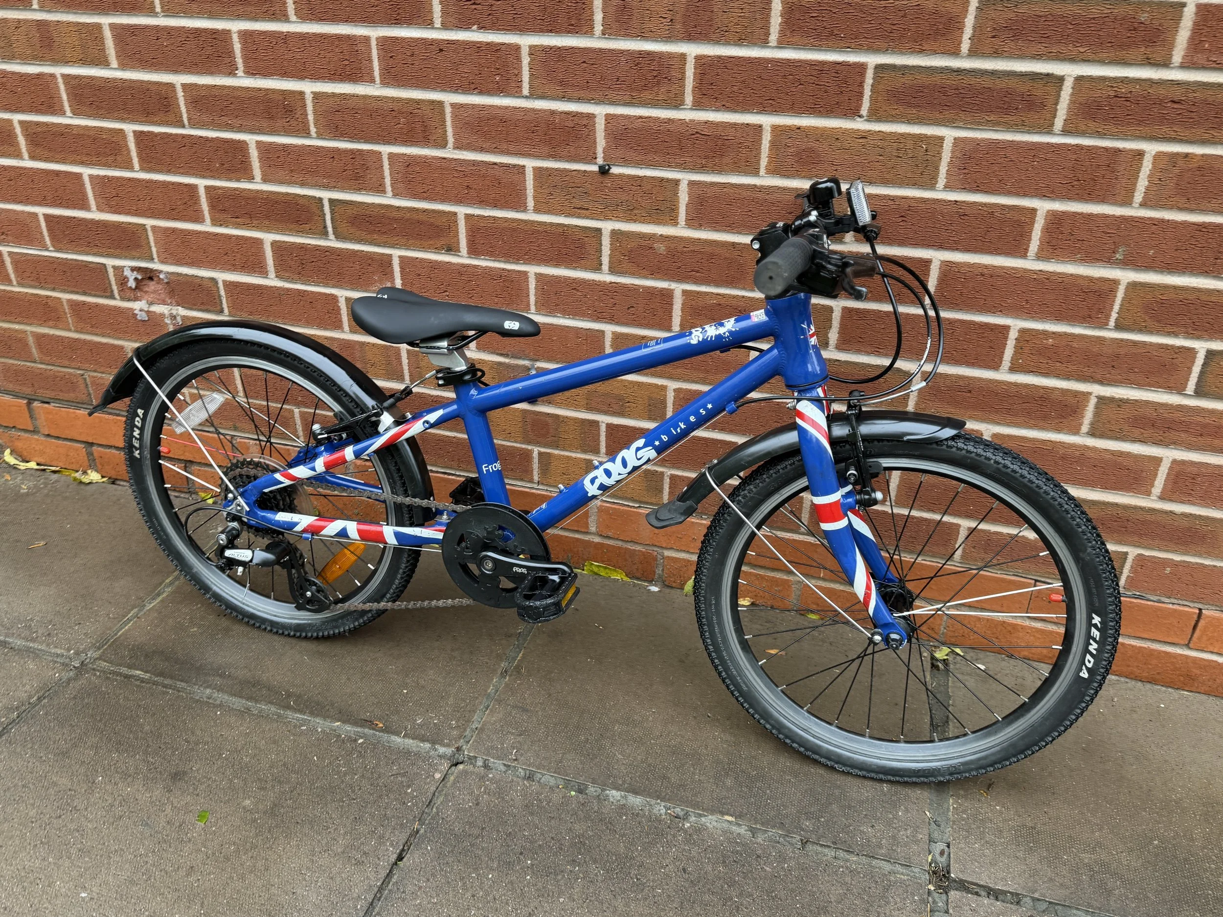 Frog Bike for sale 8 .jpg