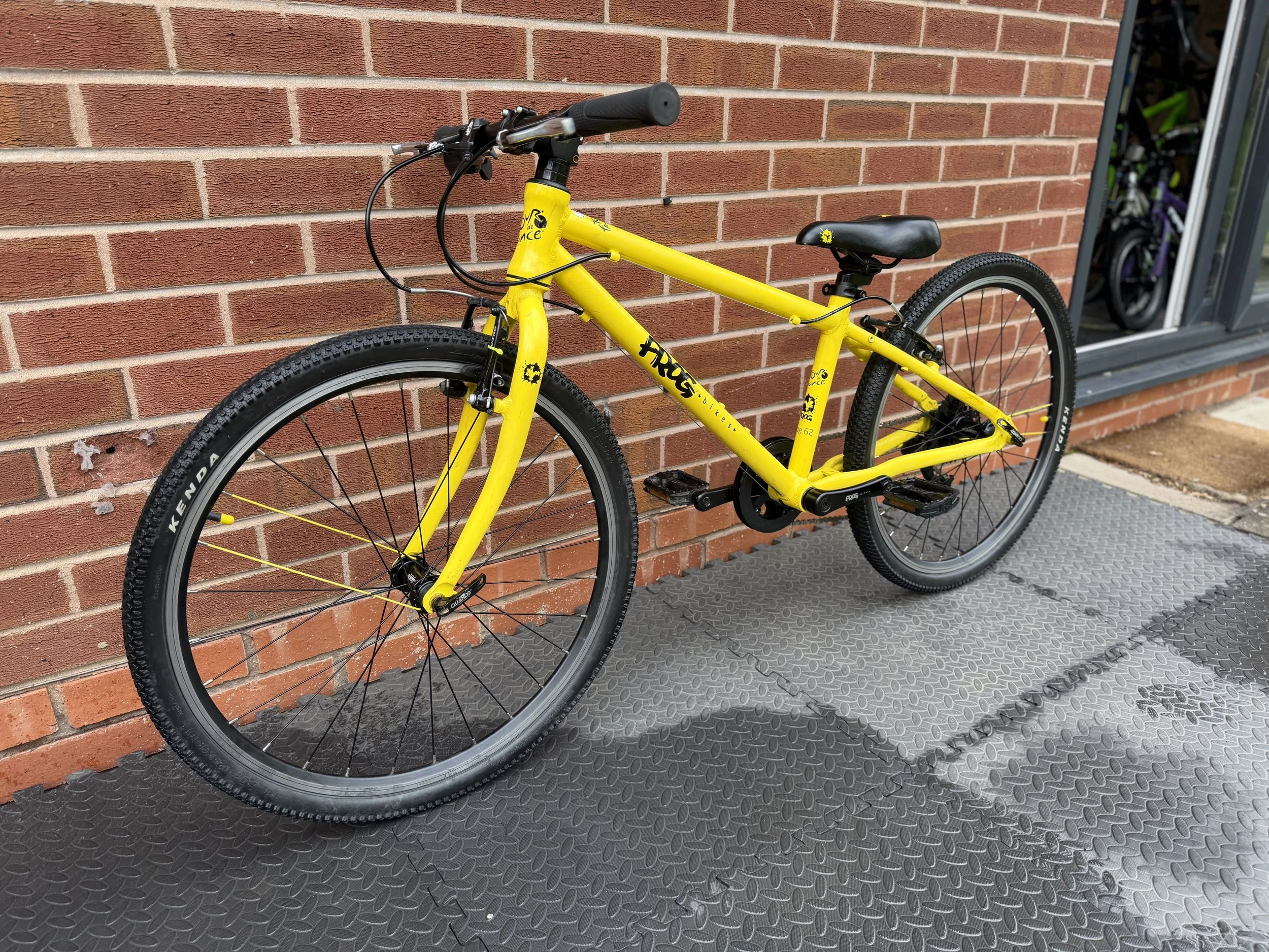 Frog 24” hybrid 2 .jpg