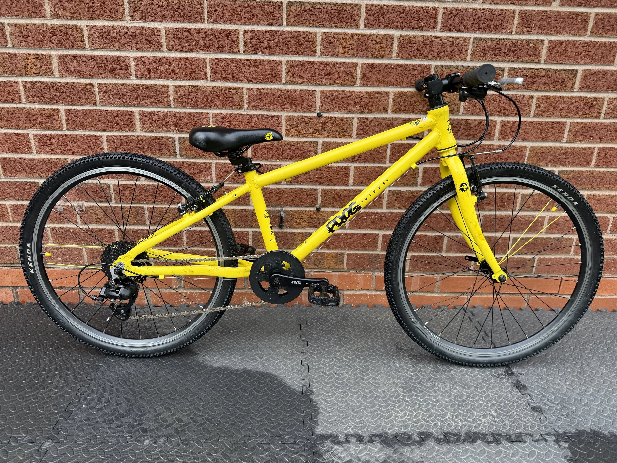 Frog 24” hybrid 6 .jpg