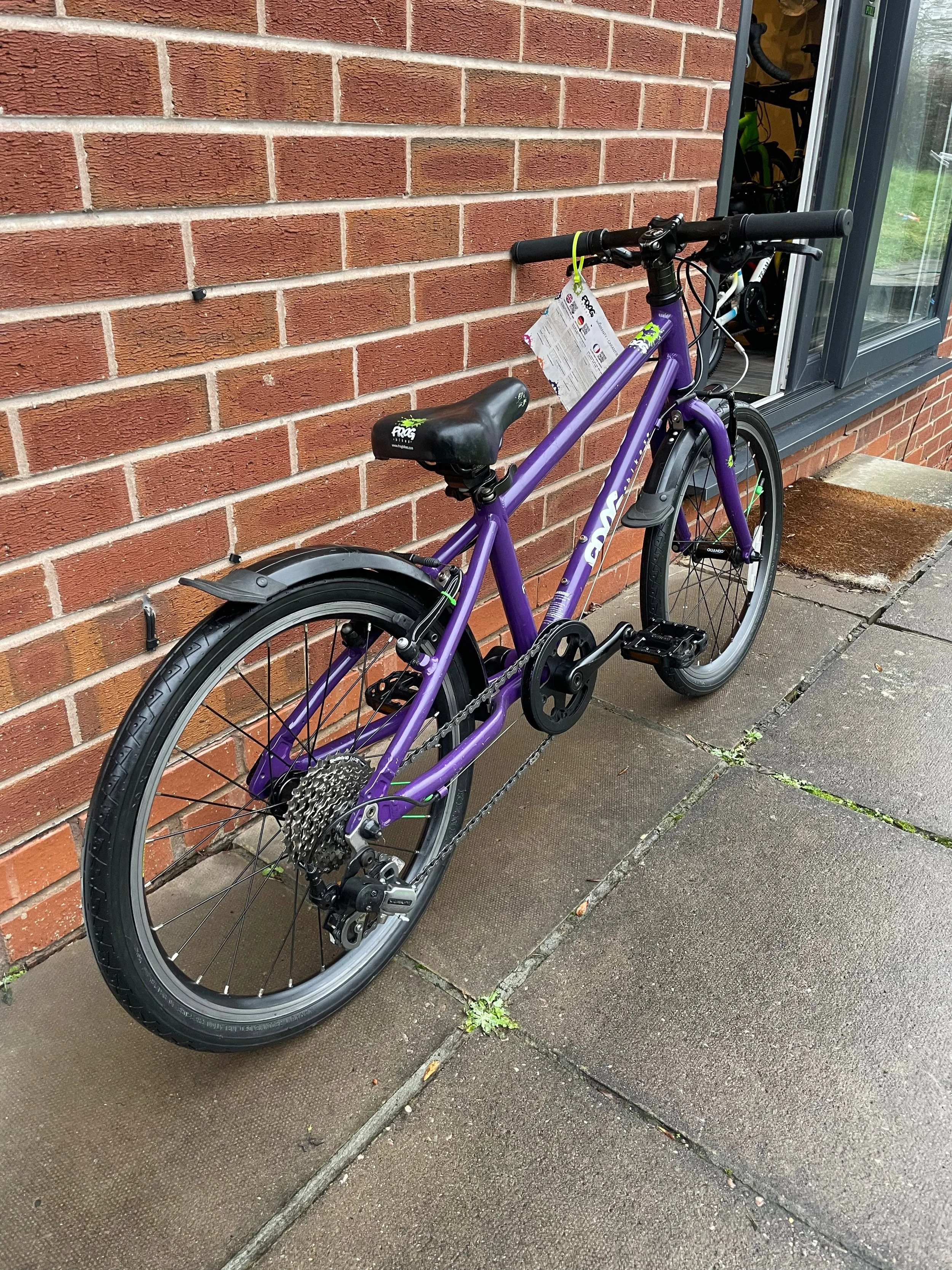 Frog 55 Purple 10.jpg