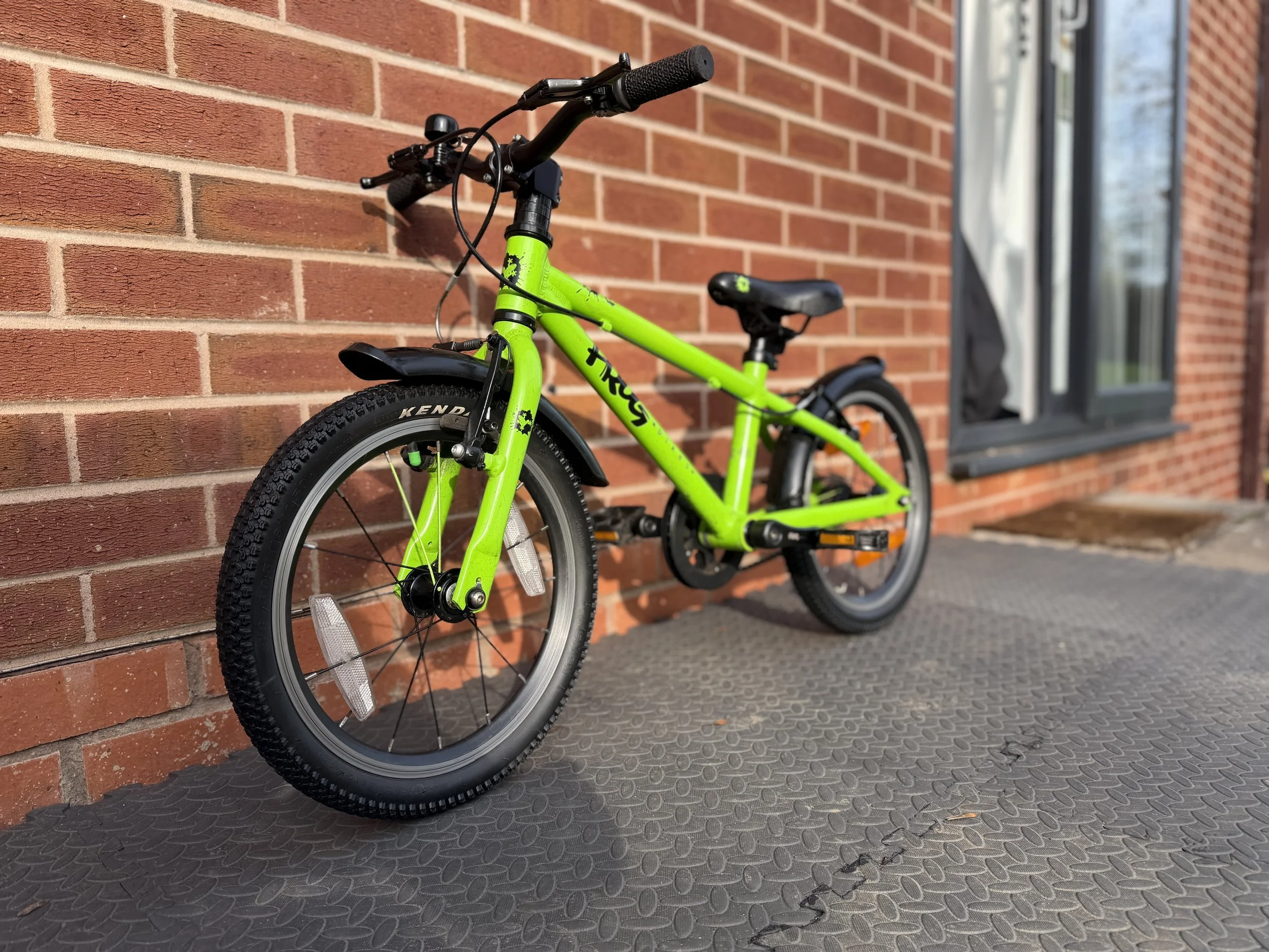 Green Frog Bike 48 3.jpg