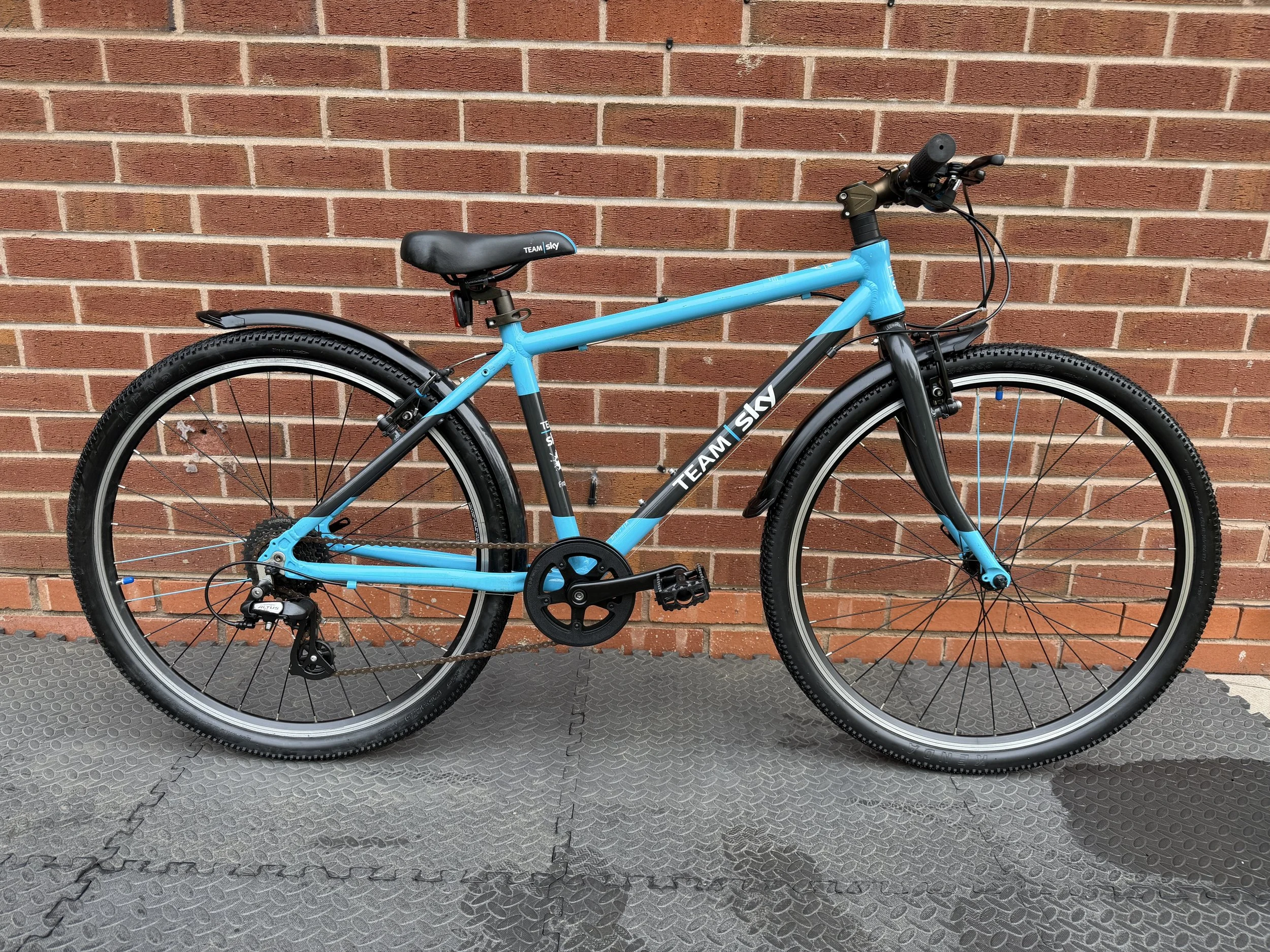 Team Sky Frog 73 6.jpg