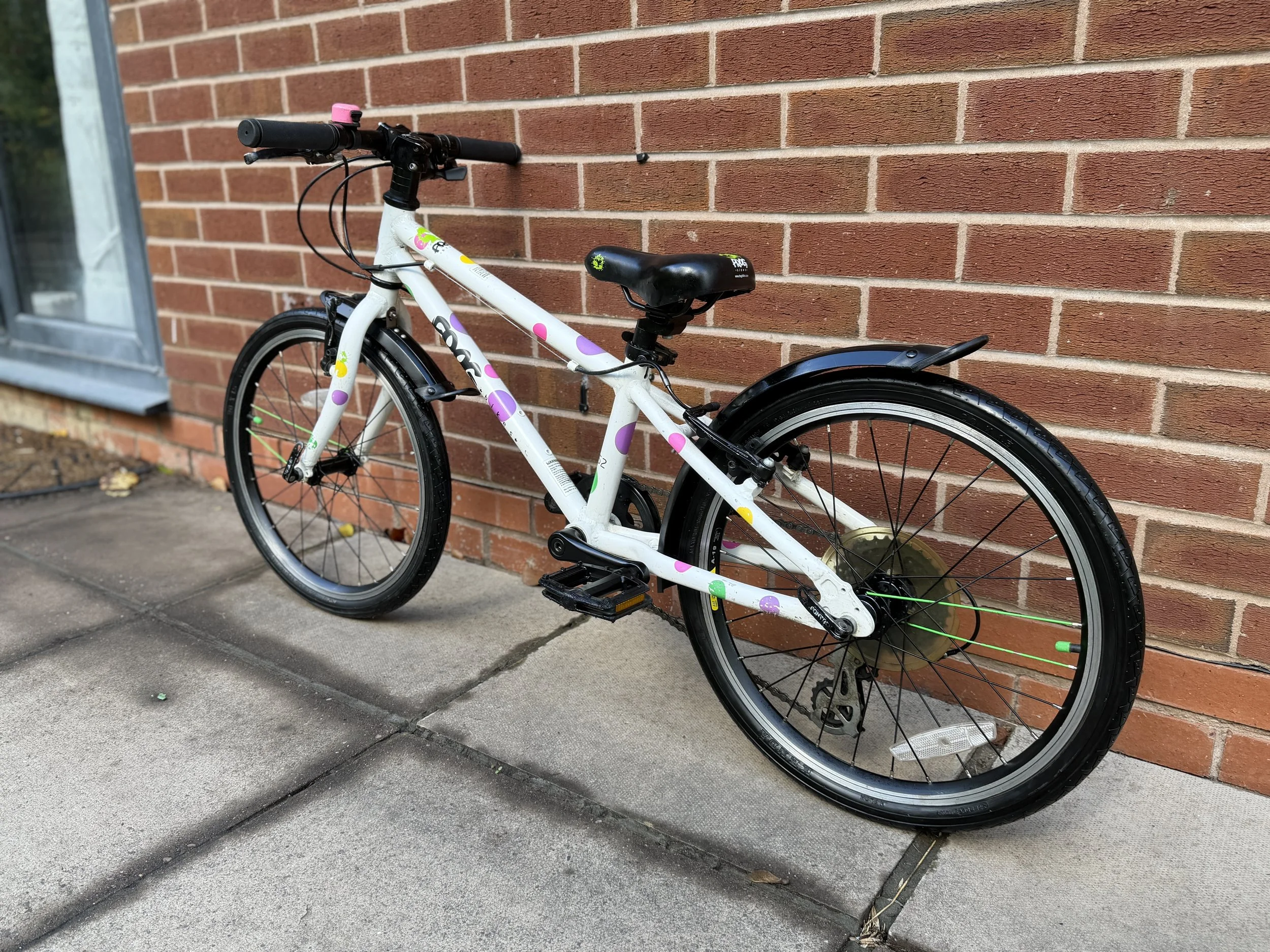 Spotty Frog Bike 4 .jpg