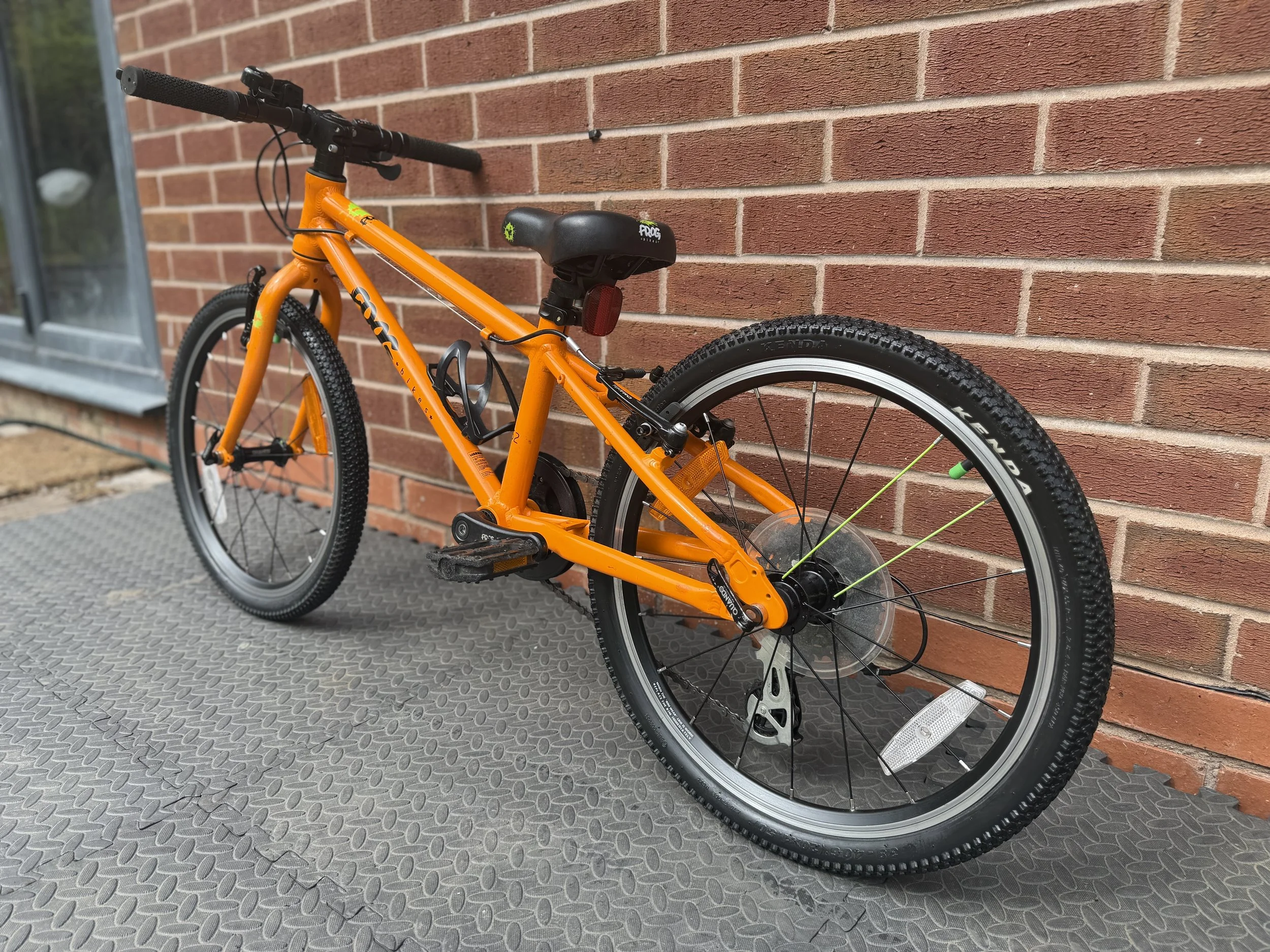 Orange Frog 52 4.jpg