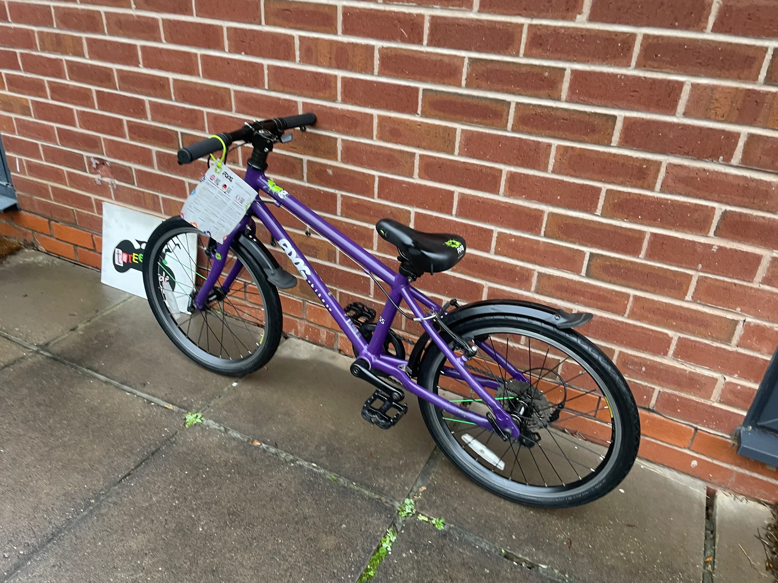 Frog 55 Purple 3.webp