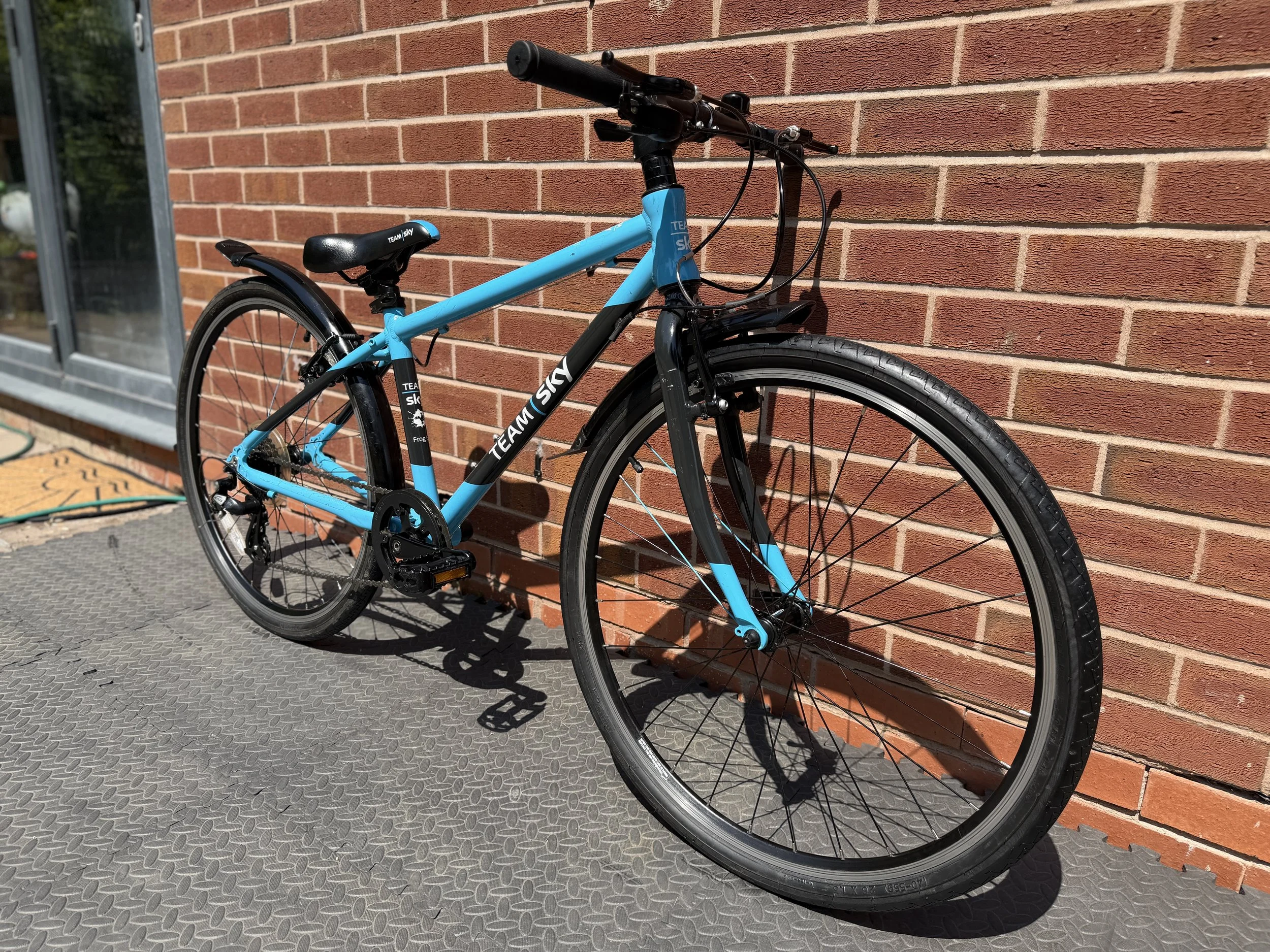 Team Sky Pro Cycling Frog Bike 9 .jpg