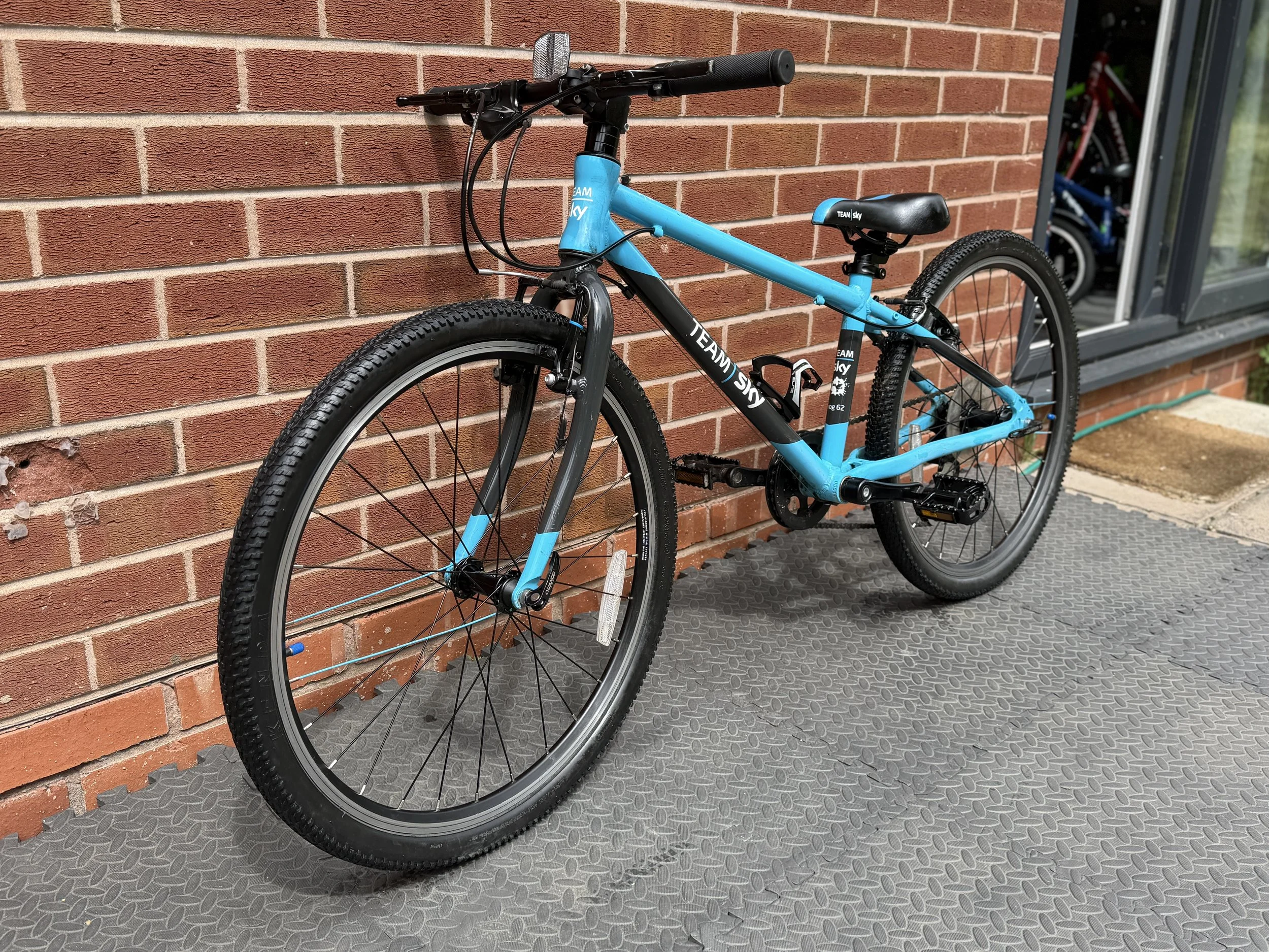 Team Sky Frog Bike 5 .jpg
