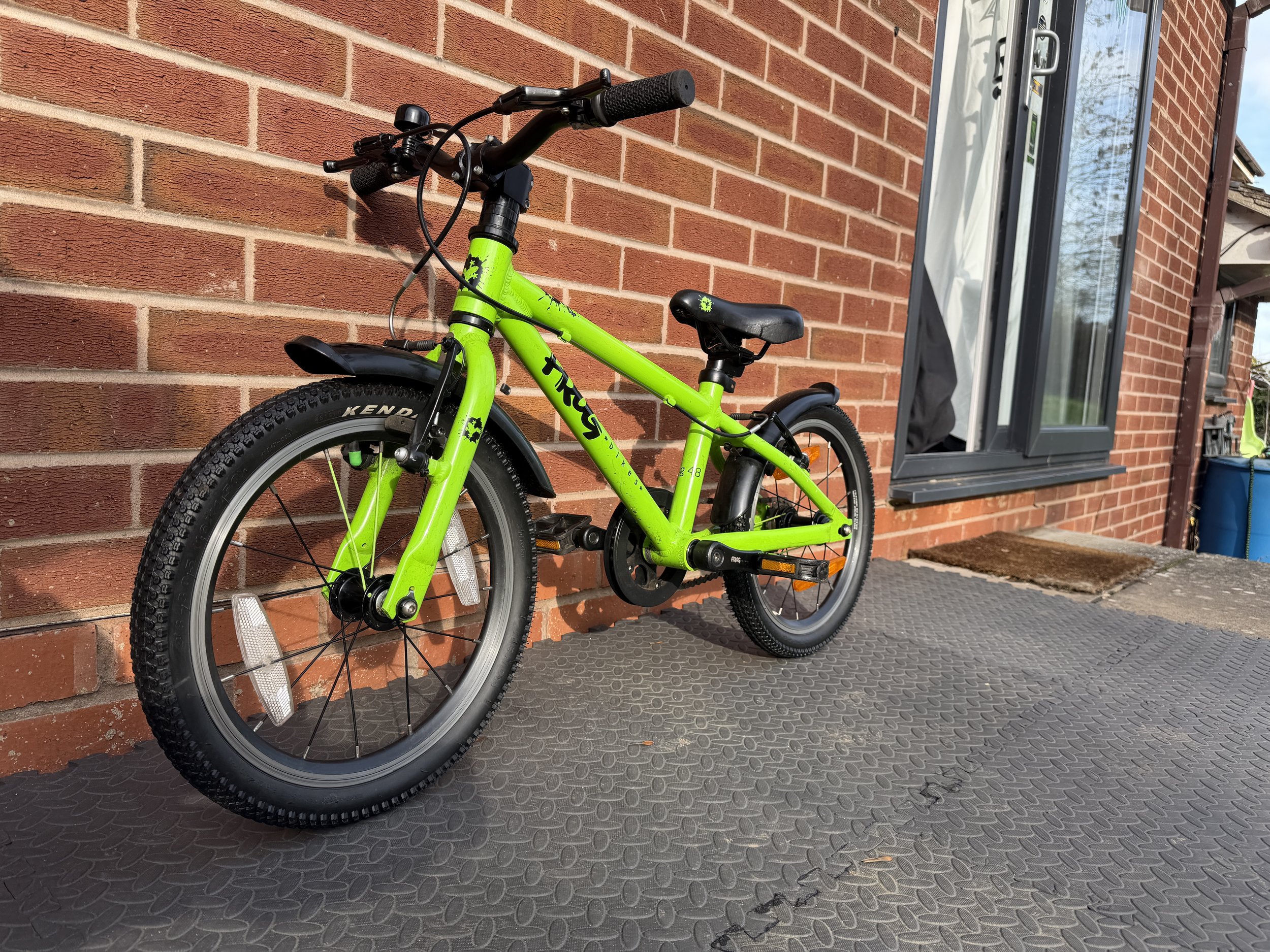 Green Frog Bike 48 5.JPG