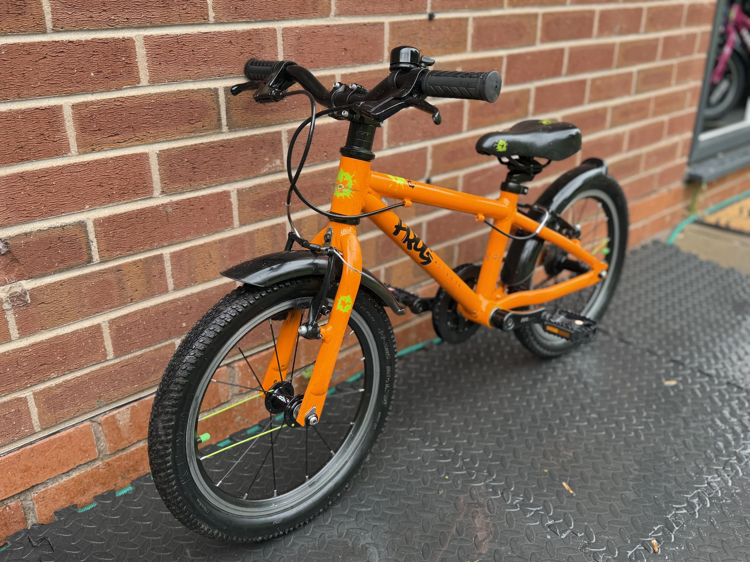 Orange Frog 48 5 .jpg