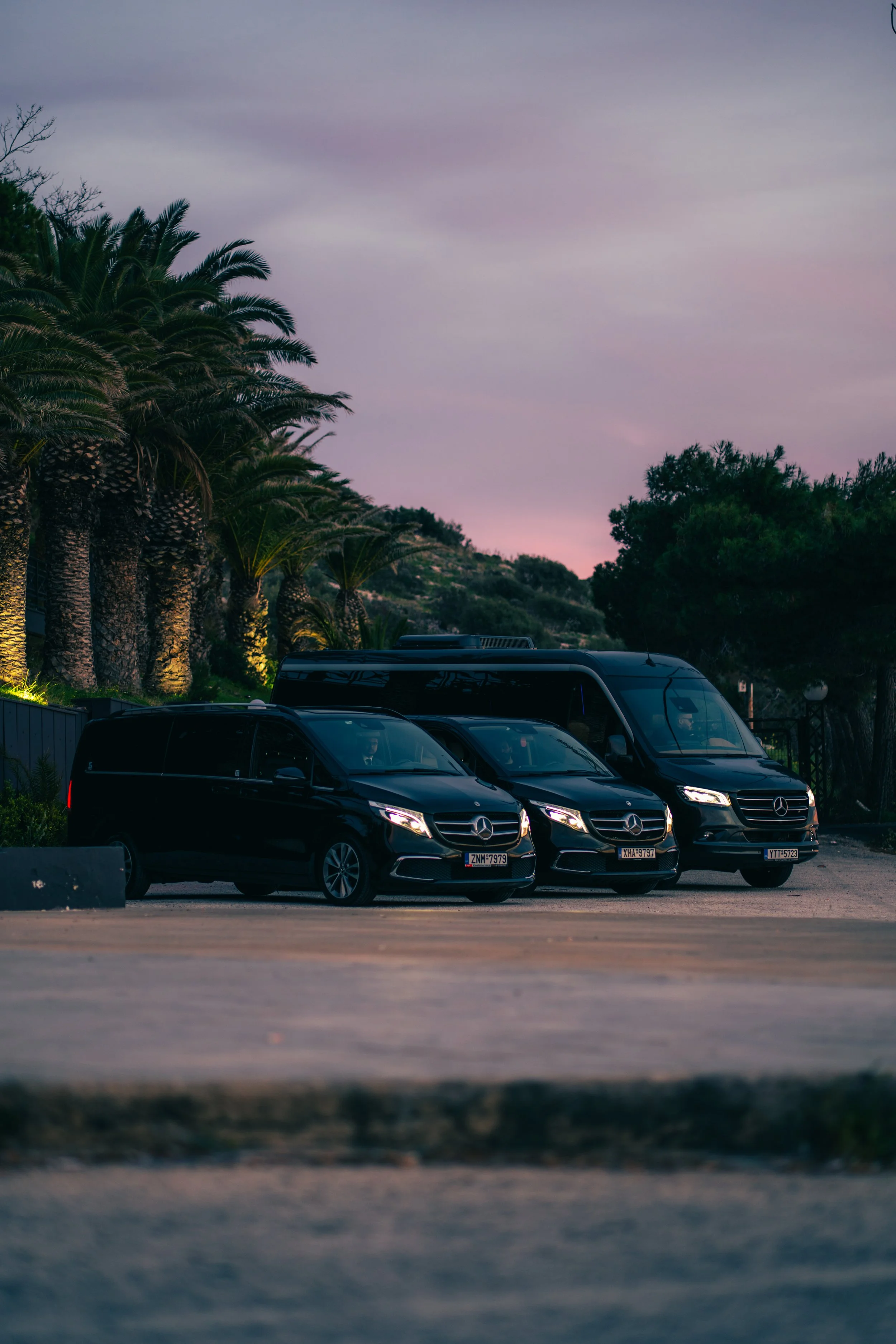 Several black Mercedes-Benz vans parked in a lot with palm trees and hills in the background during dusk.