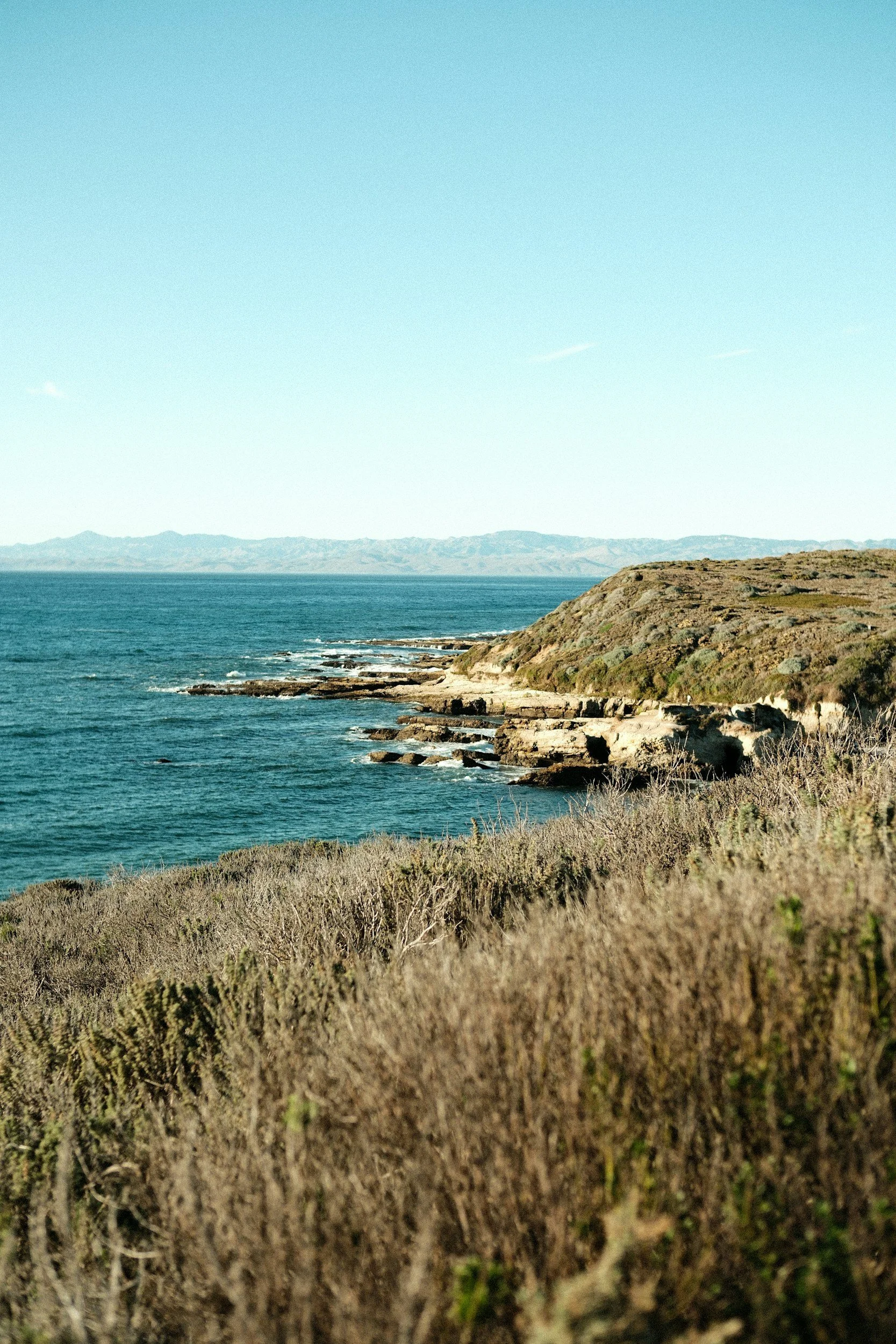 Coastal landscape with rocky cliffs, shrubs in the foreground, and a vast ocean under a clear blue sky.