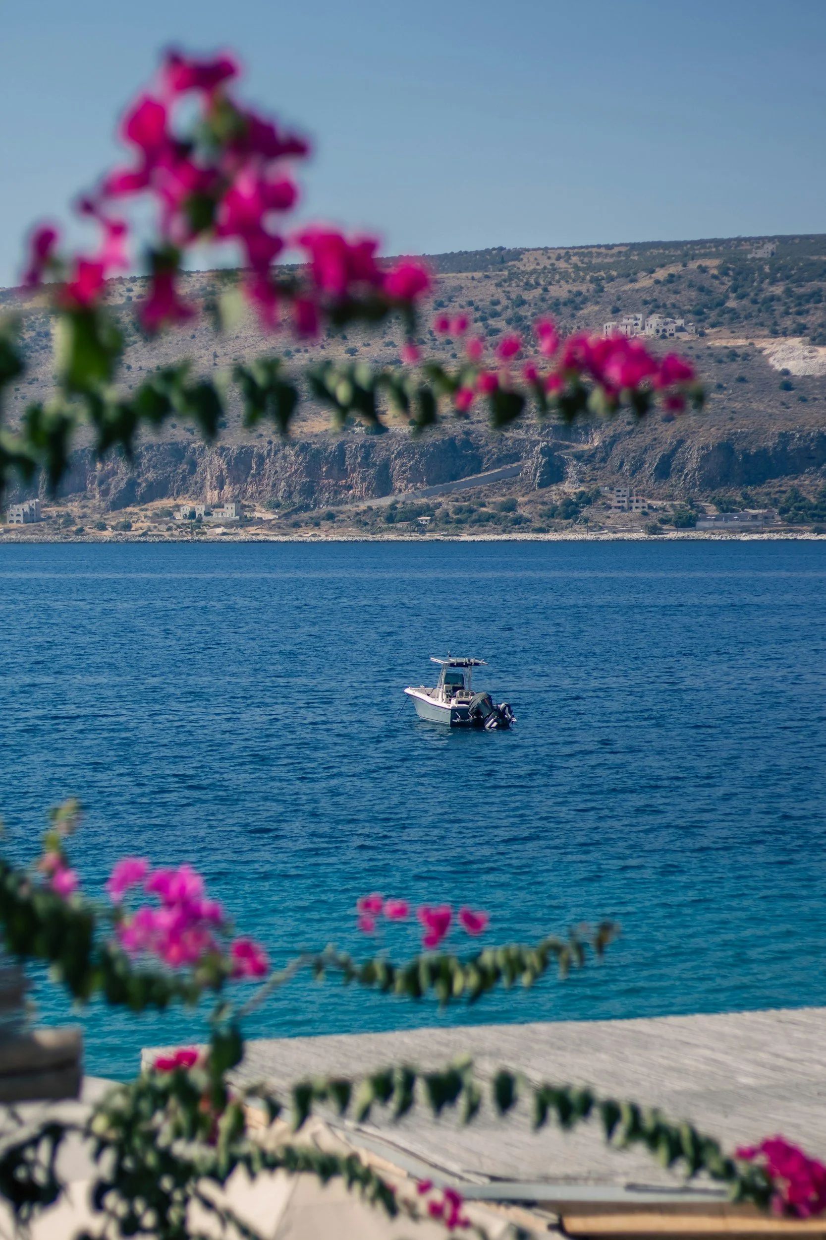 A view of a calm blue lake with a boat floating on it, near a shoreline with a mountainous landscape in the background, partially obscured by pink flowering plants in the foreground.