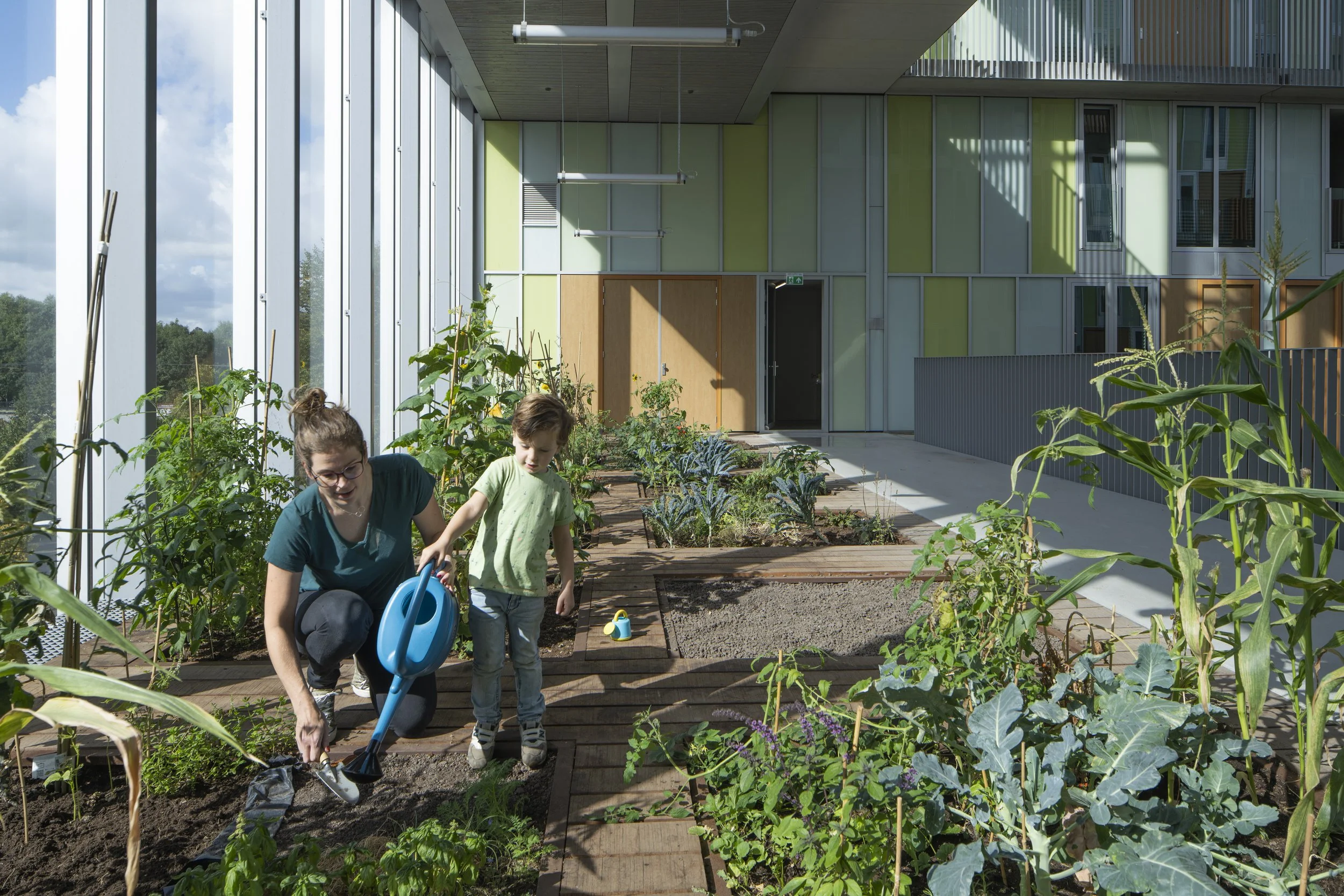 Een vrouw en een jongen werken samen in een kas tuin met groene groenten en planten.