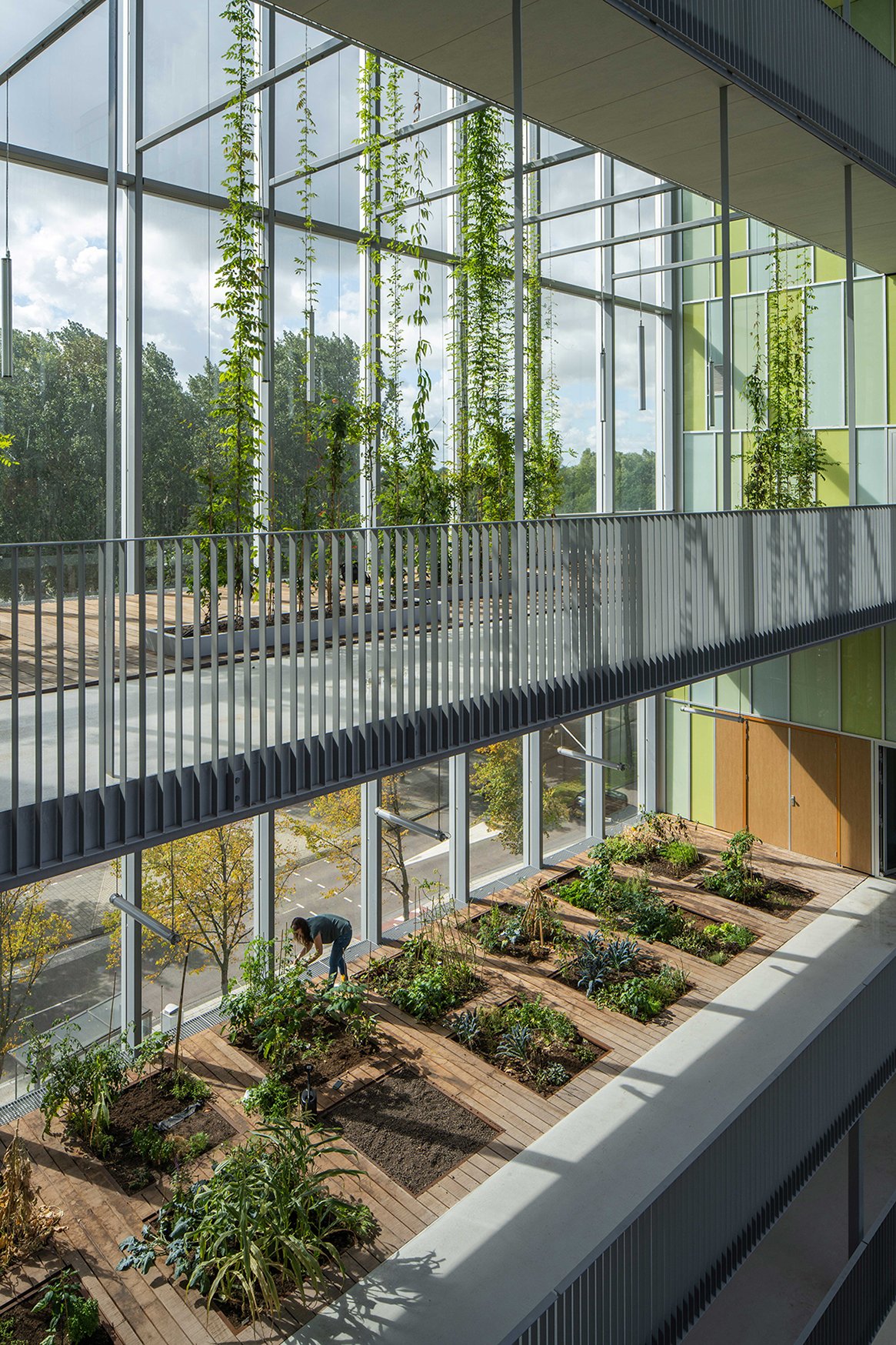 01 New West_credits Thomas Lenden.jpg