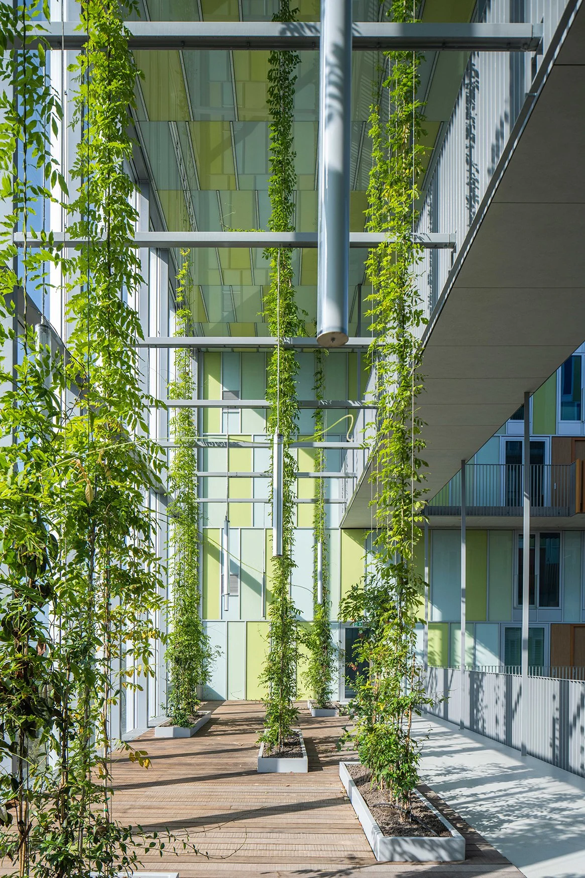 04 New West_credits Thomas Lenden.jpg