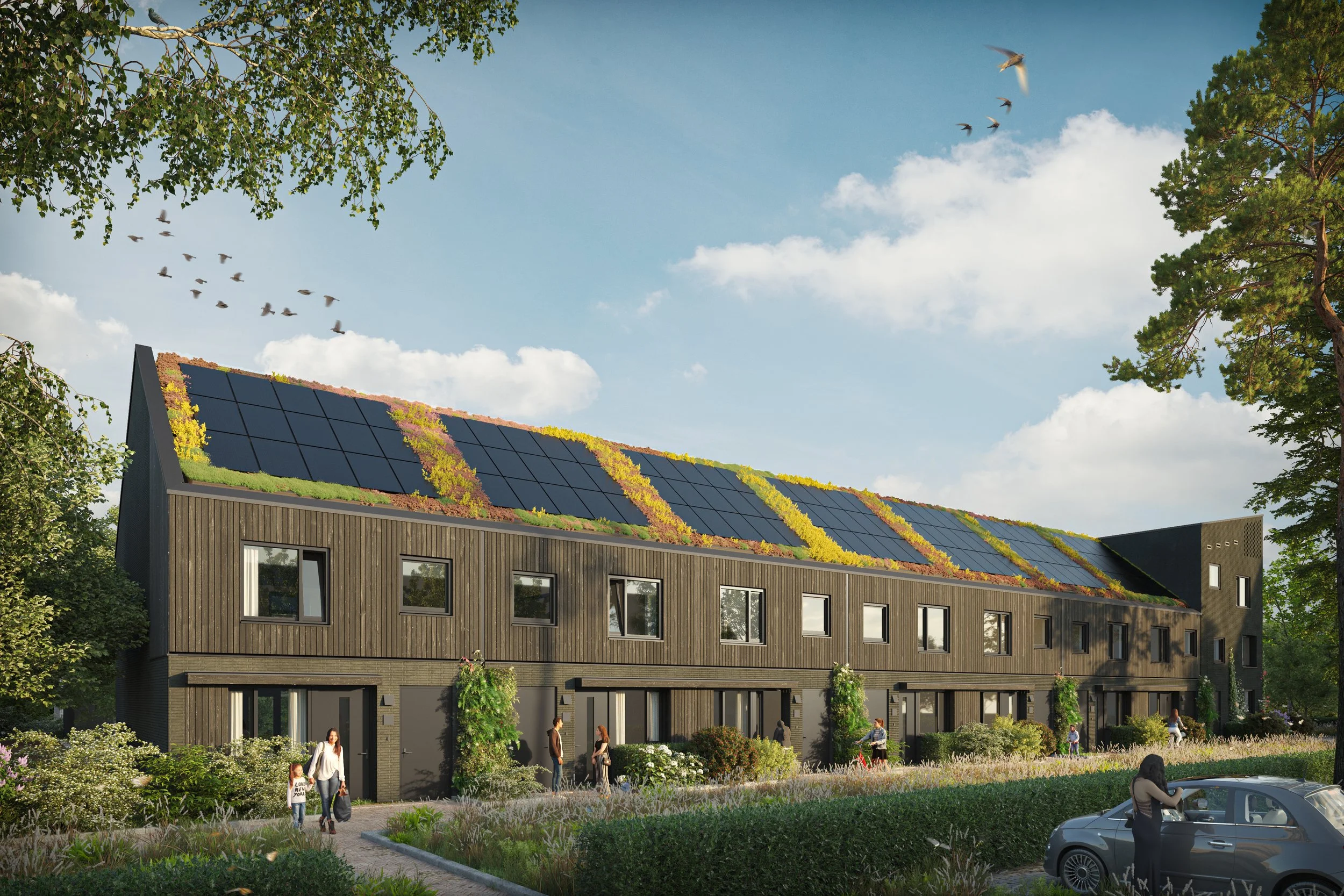 NobelHorst_Stp07_CU .jpg