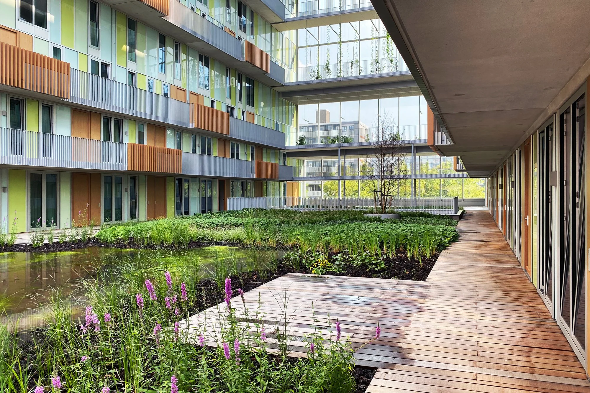 Binnenplaats van een modern appartementencomplex met een greengrond, een klein waterpartij, een houten wandelpad en een overdekte gang met ramen en deuren.