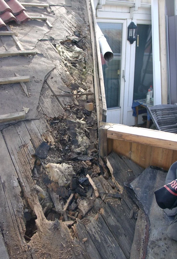 Råte- og soppsannering