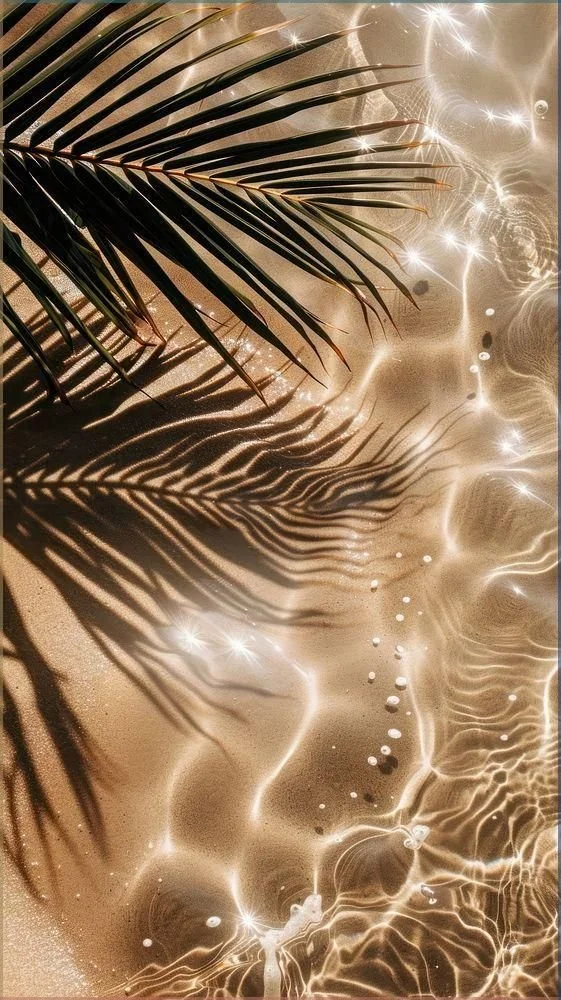 Sunlight reflecting on water with shadow of palm leaves on sandy surface.