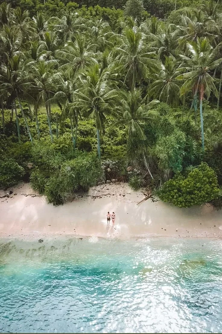 A tropical beach scene with two people standing on the sand near the water, surrounded by lush green palm trees and dense foliage.