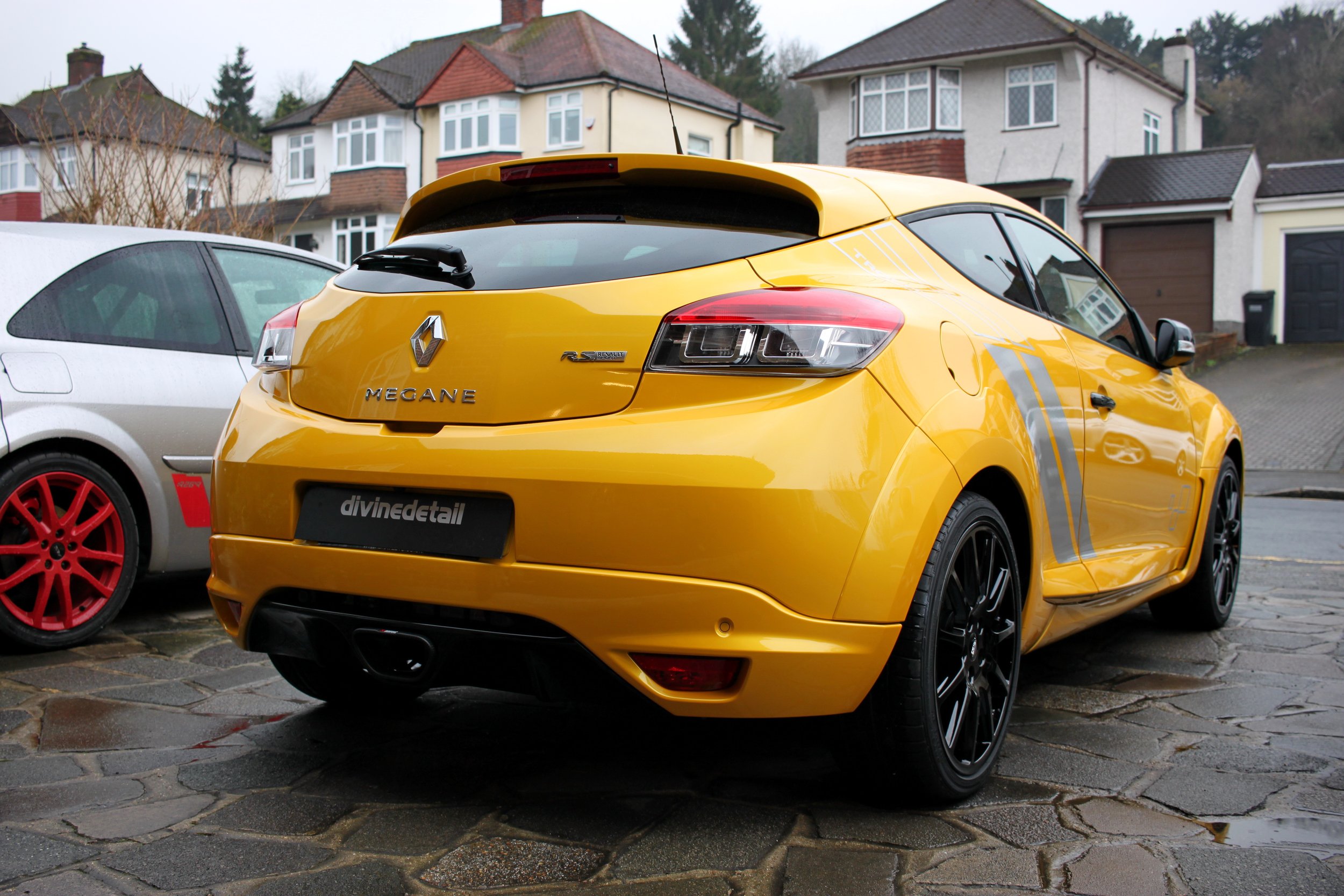 Renault Megane Trophy R detailed 