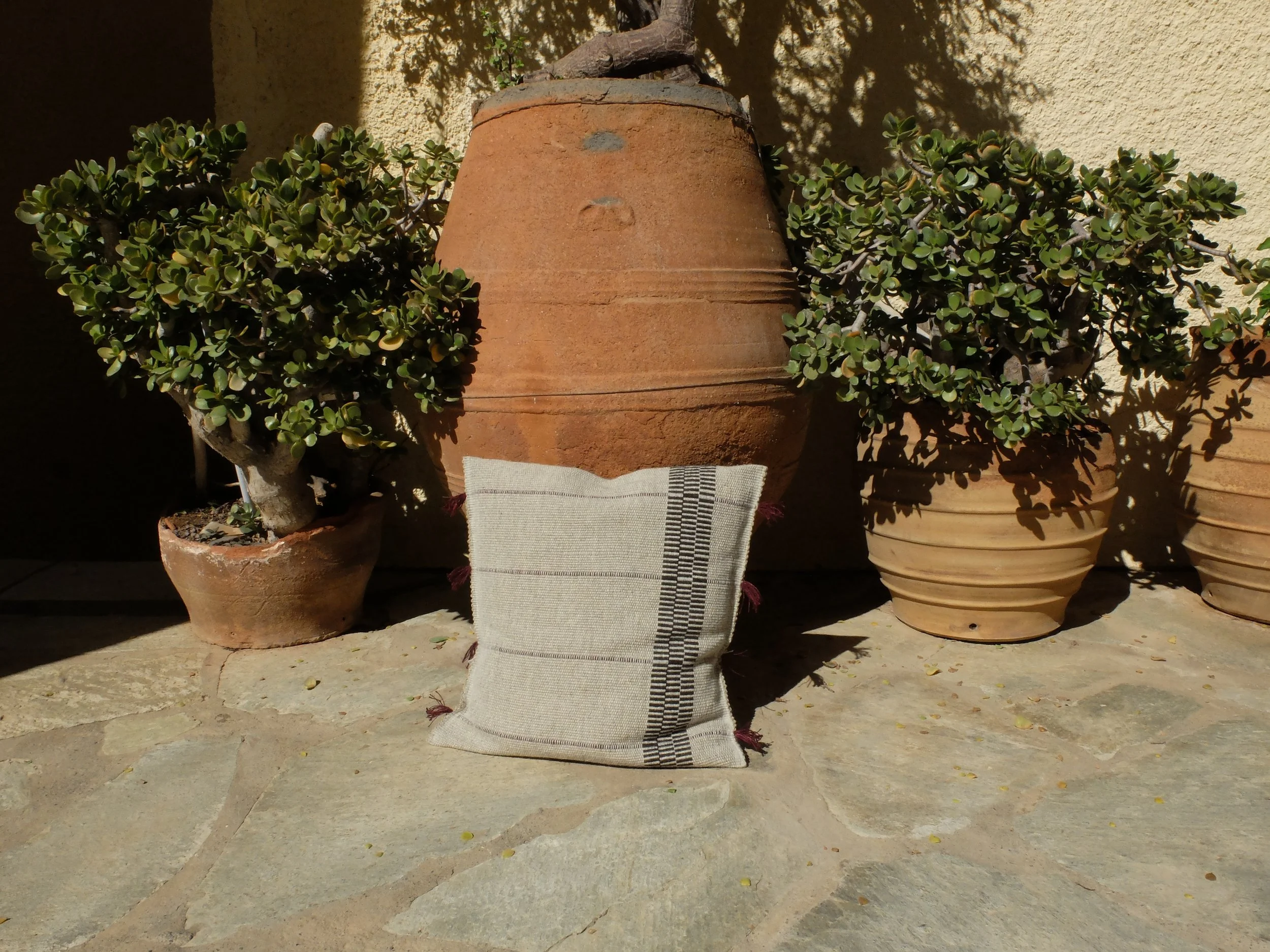 DSCF3239.JPG