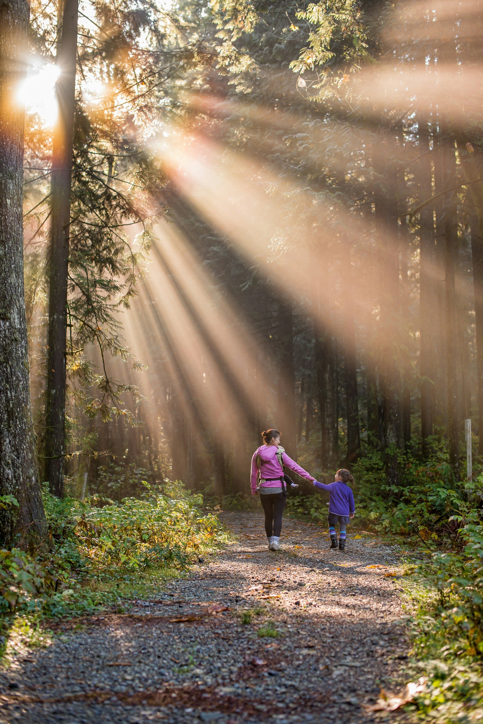 A woman and a young girl walking hand in hand through a sunlit forest trail surrounded by tall trees and greenery.