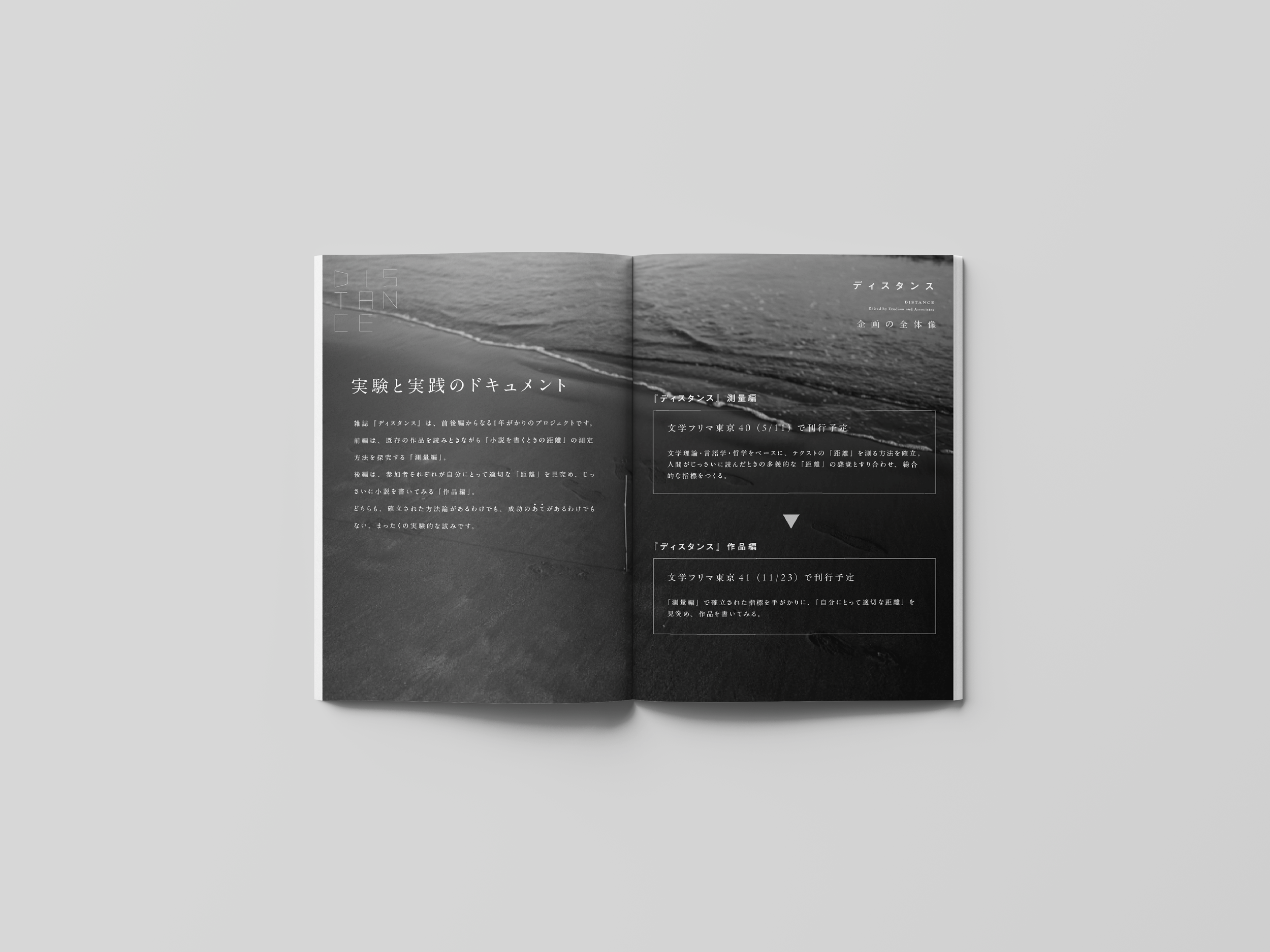 黒と白のカラースケールの写真の中に、左側に砂浜と海の写真があり、右側には黒い海の写真があります。