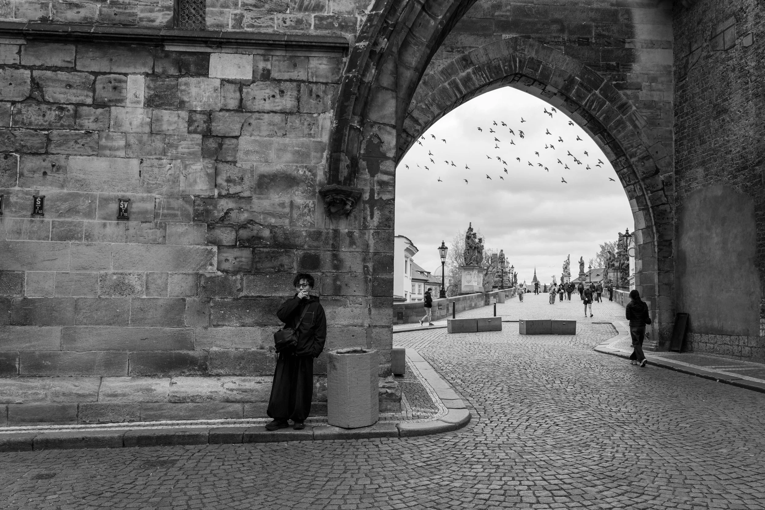 歴史的な城壁と石畳の道、その先に複数の彫像と人々、鳥の群れが飛んでいる景色。黒と白の写真。