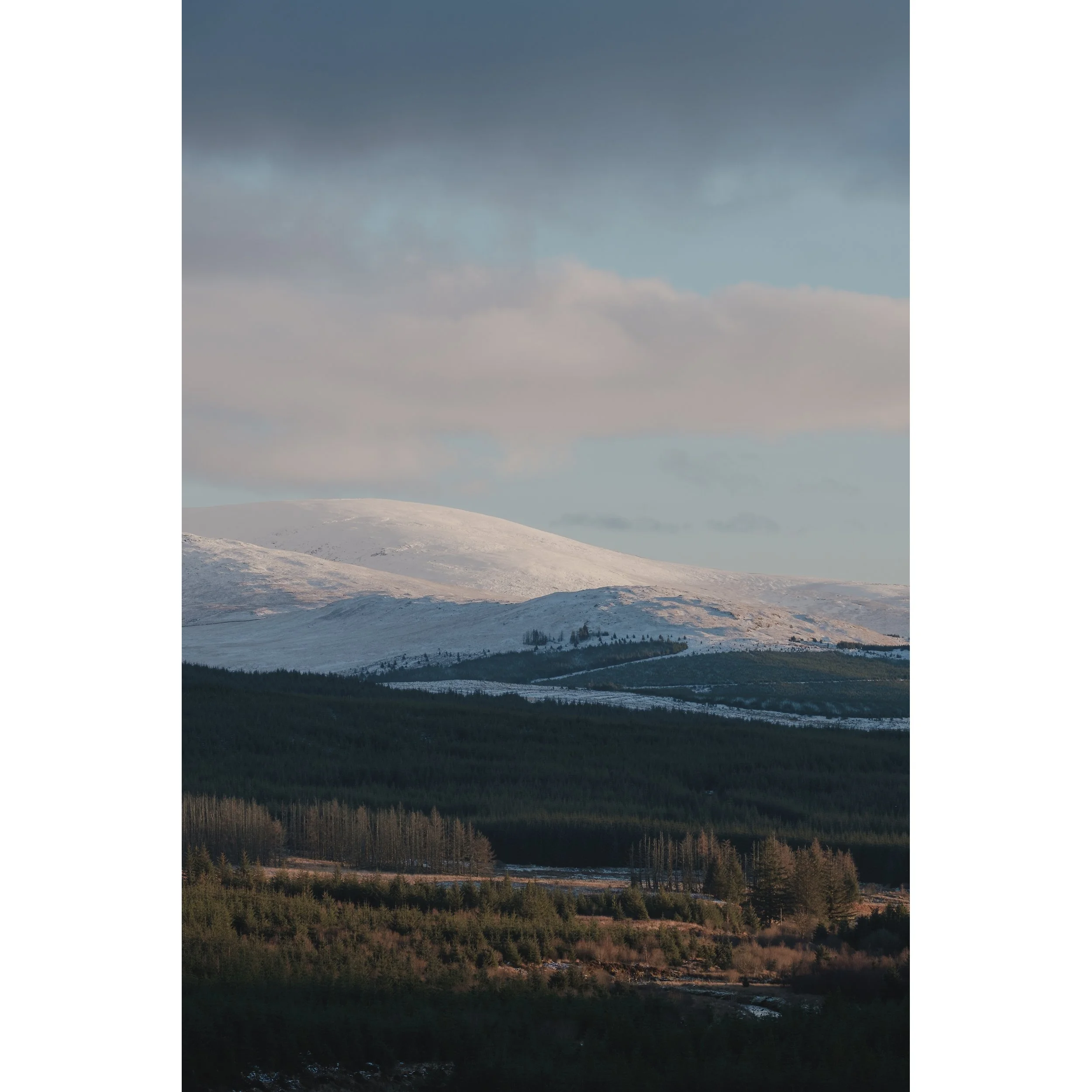 GALLOWAY FOREST PARK #1