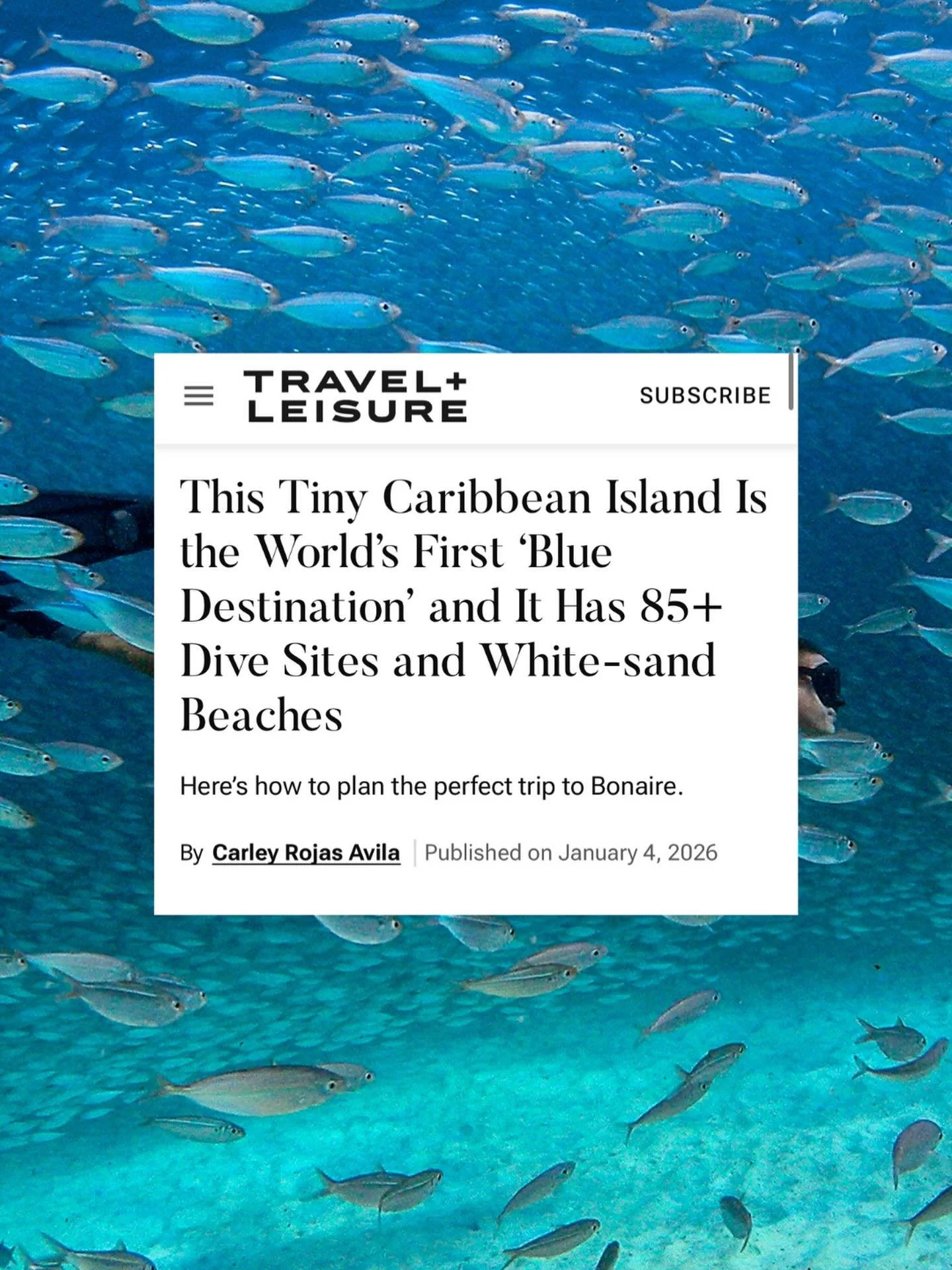 new year, new stories ☀️🏝️🐠 same immense gratitude for this absolutely incredible work I get to do, highlighting some of the coolest destinations and most enchanting experiences across LatAm and the Caribbean. thanks you + more please!!