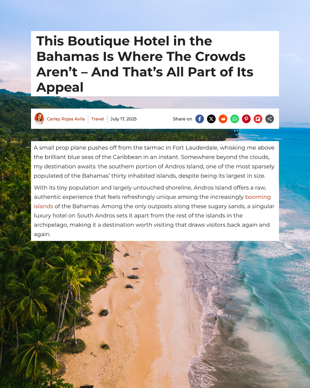 Travelbinger - Boutique Hotel in the Bahamas