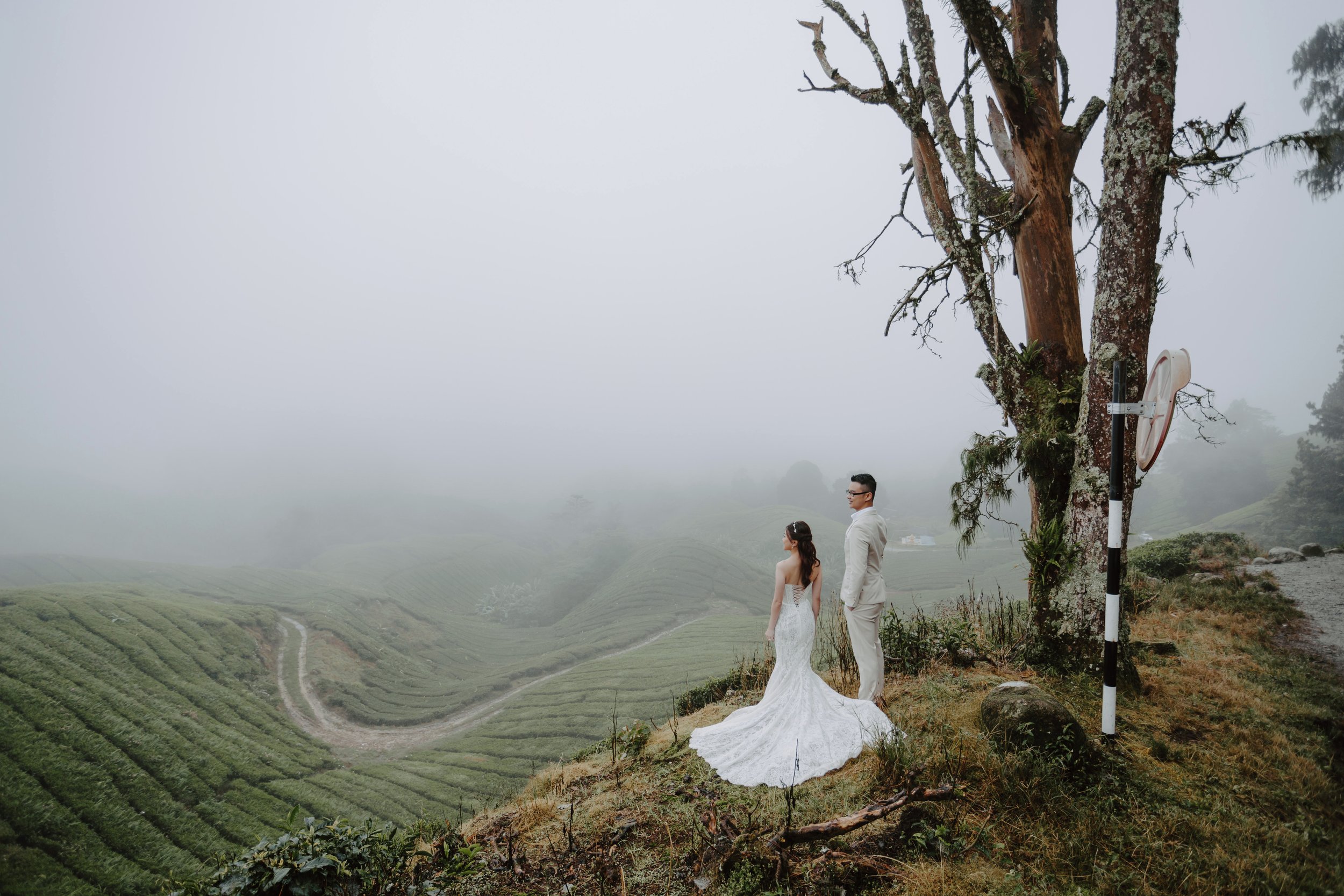 cameron highland pre wedding-johnhophotography (31).jpg