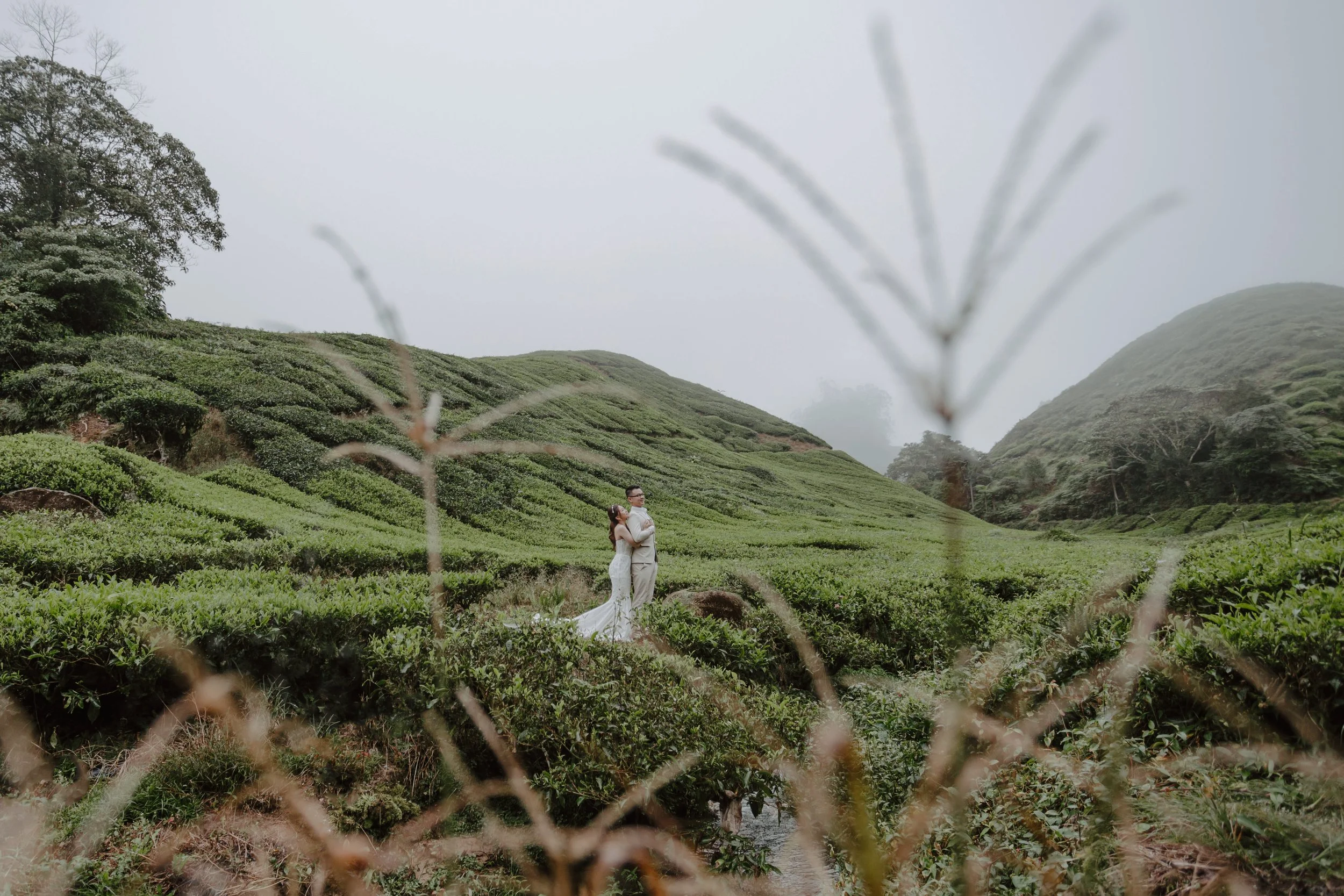 cameron highland pre wedding-johnhophotography (12).jpg