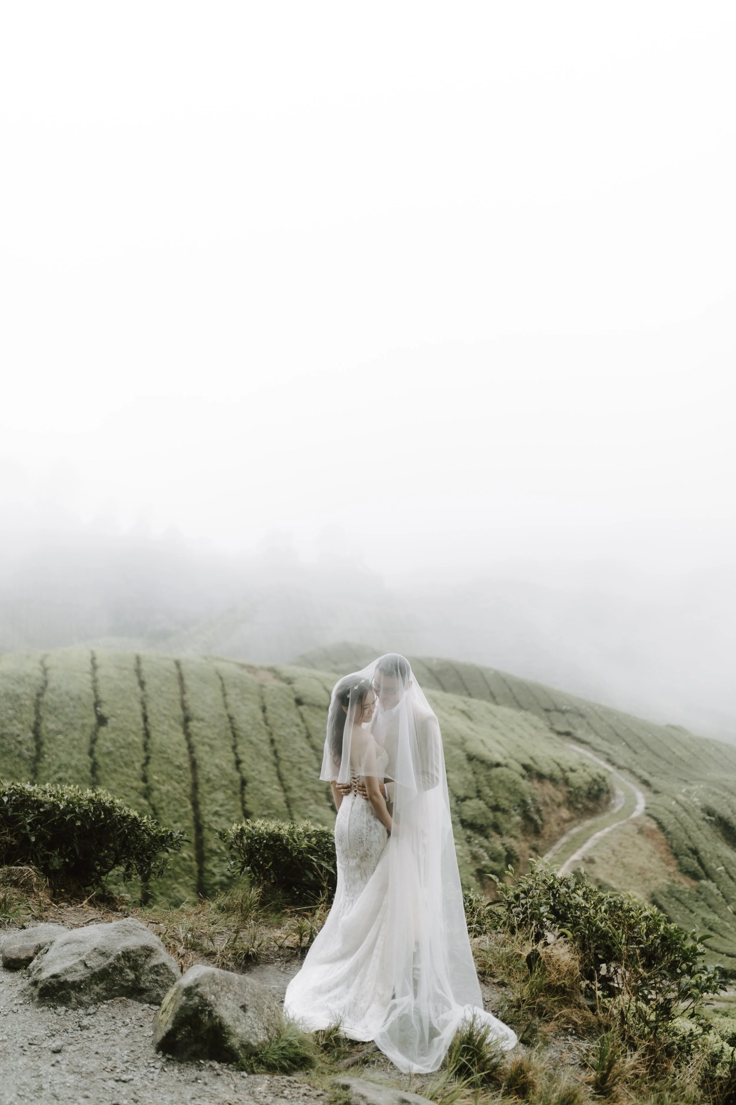 cameron highland pre wedding-johnhophotography (37).jpg