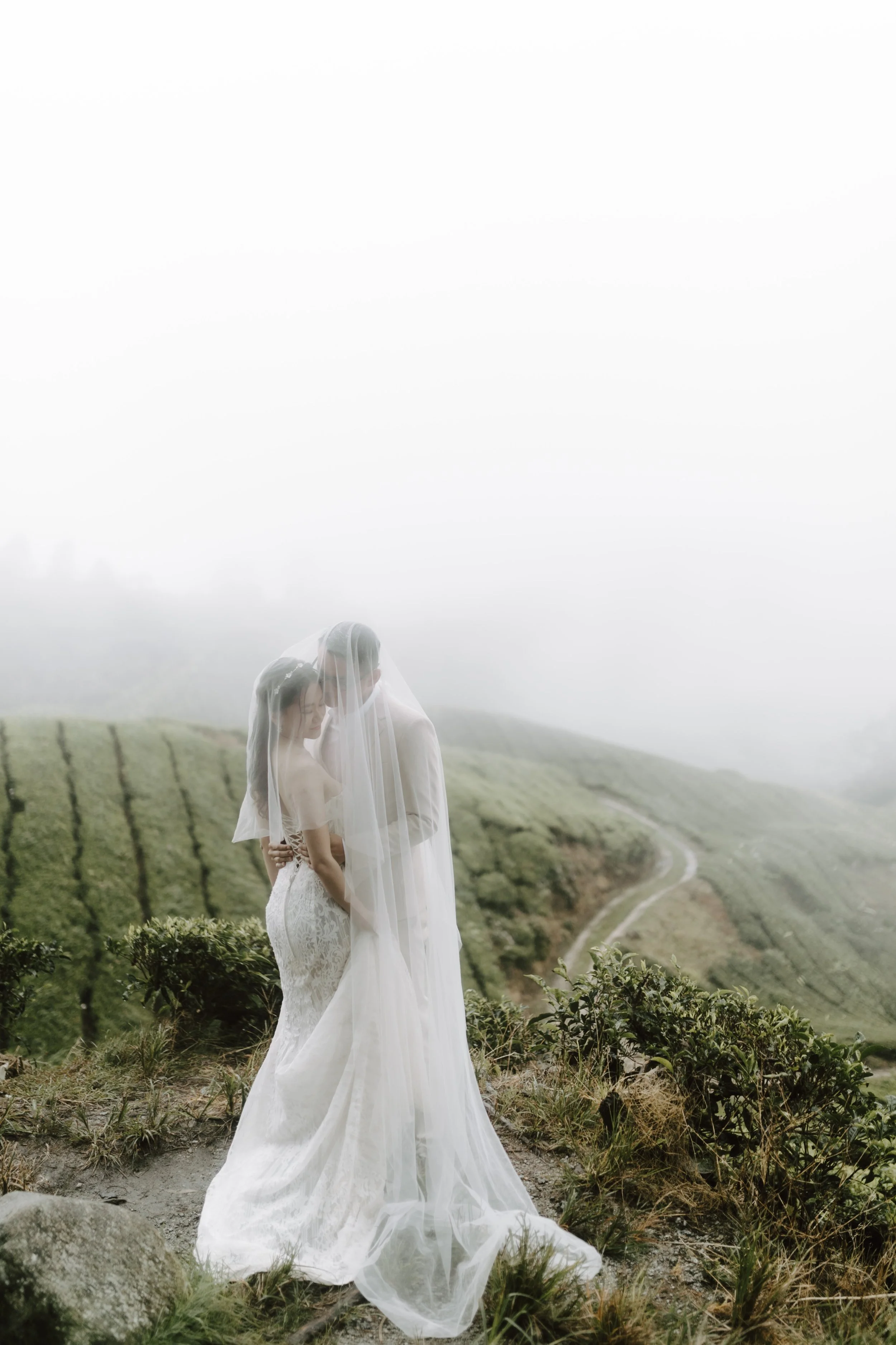 cameron highland pre wedding-johnhophotography (13).jpg