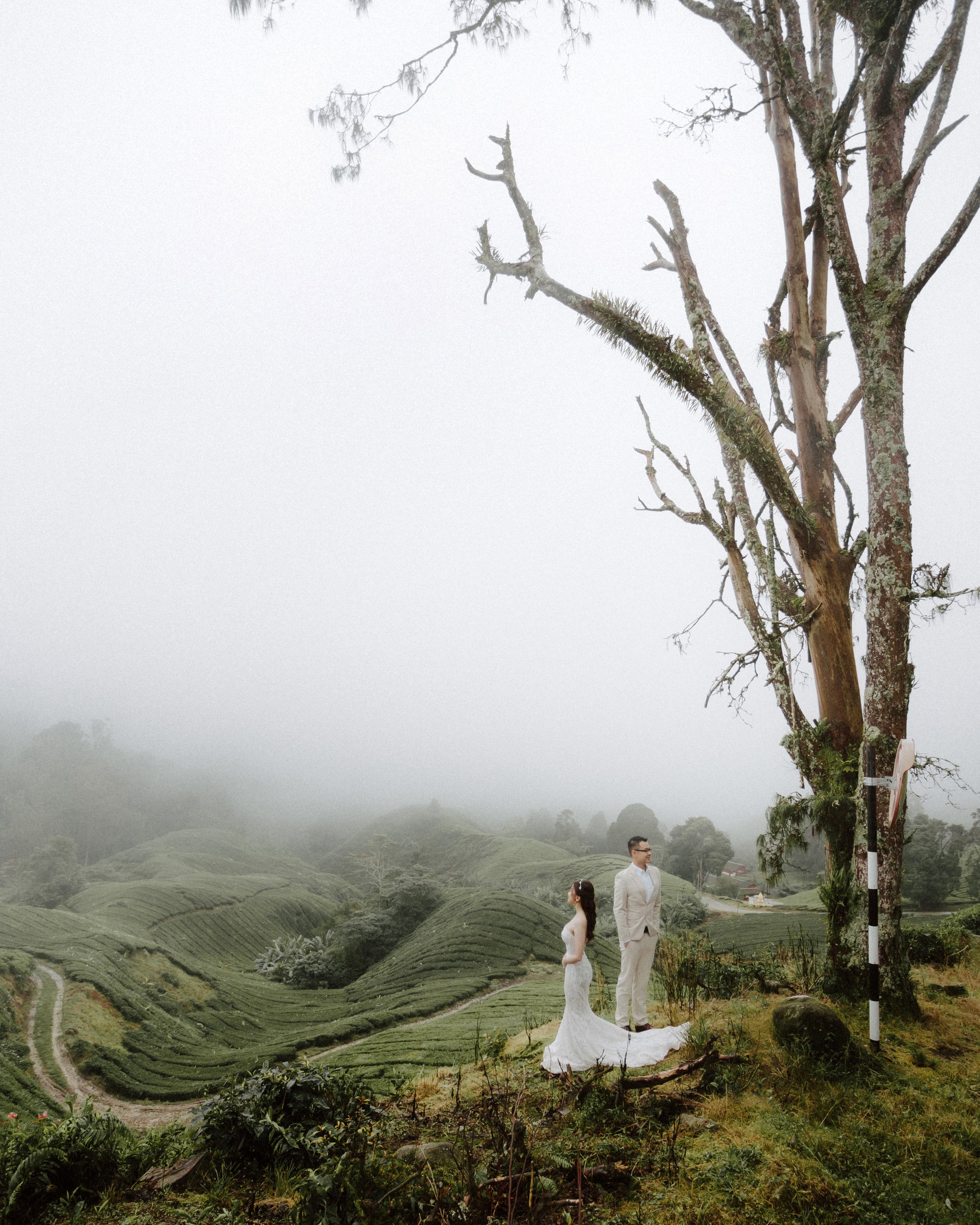 Cameron Highlands Pre Wedding  - Jacky + Suanne