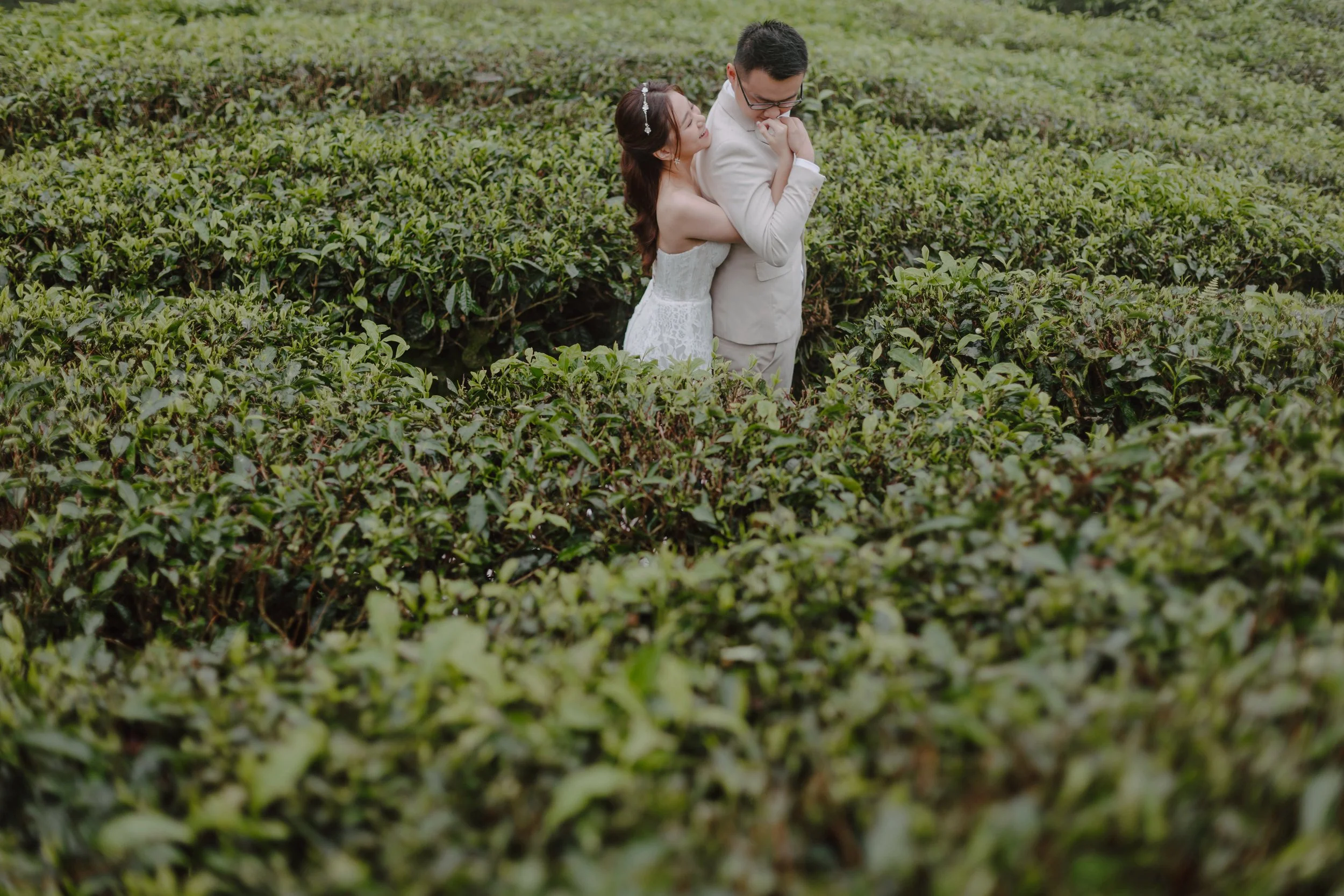 cameron highland pre wedding-johnhophotography (28).jpg