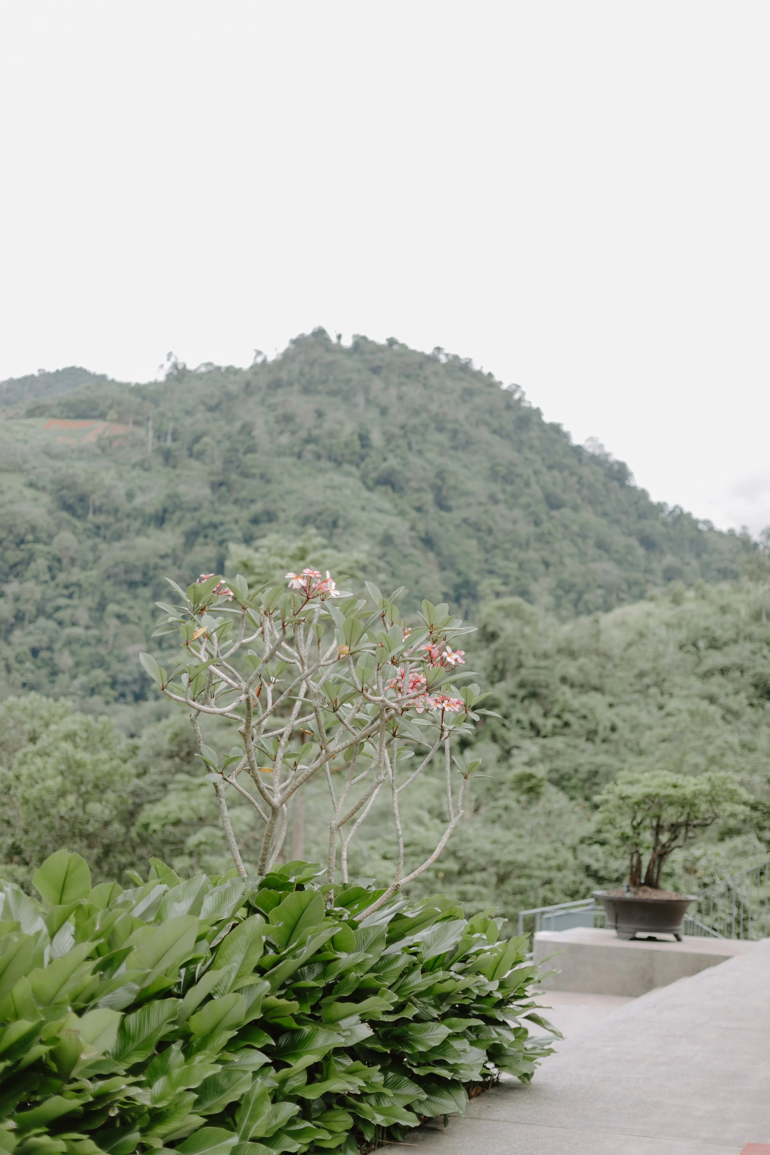 Dickson&Kelly-The Acres Resort Wedding (8).jpg