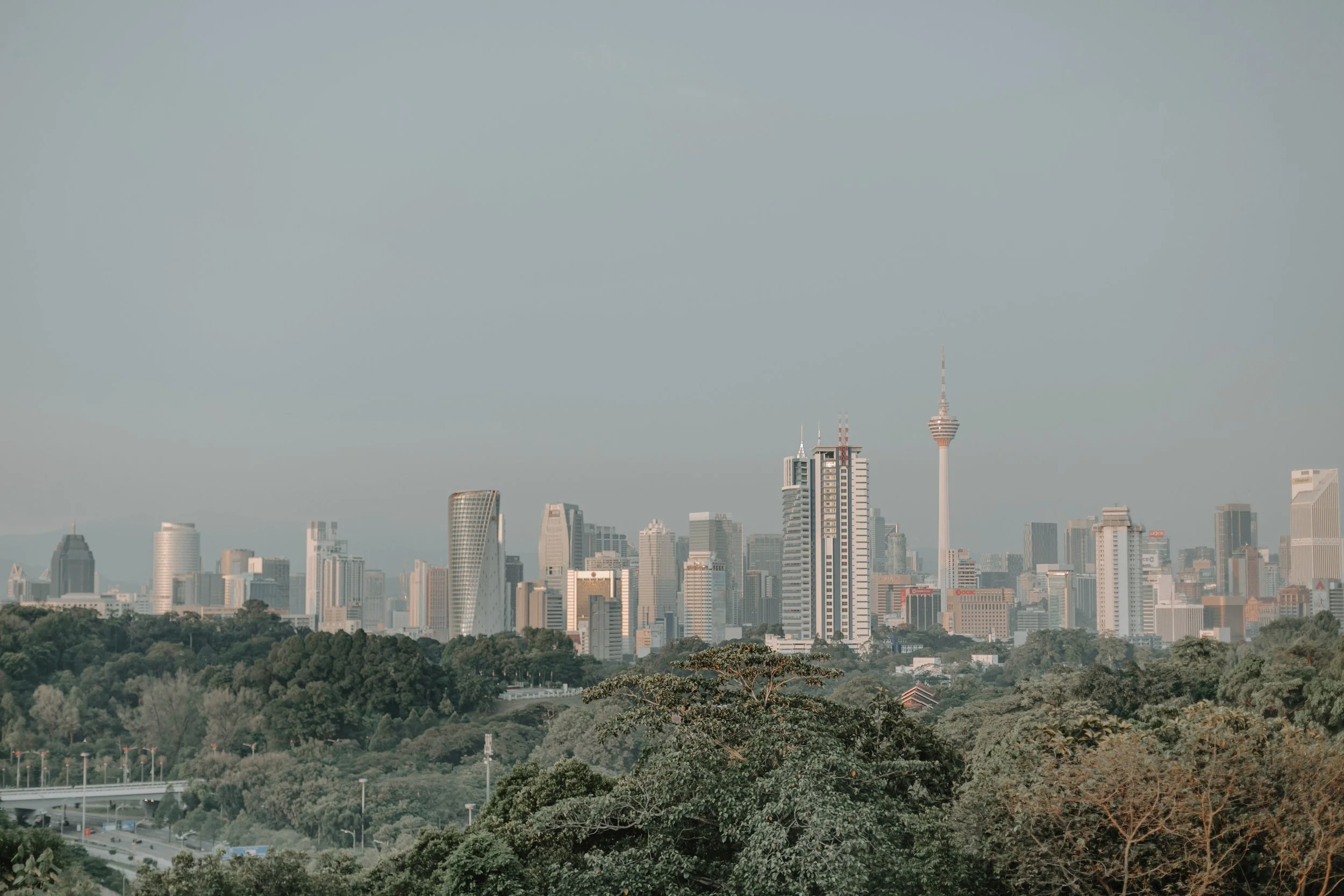 Amaury&Joan-The Estate KL wedding dinner (1).jpg