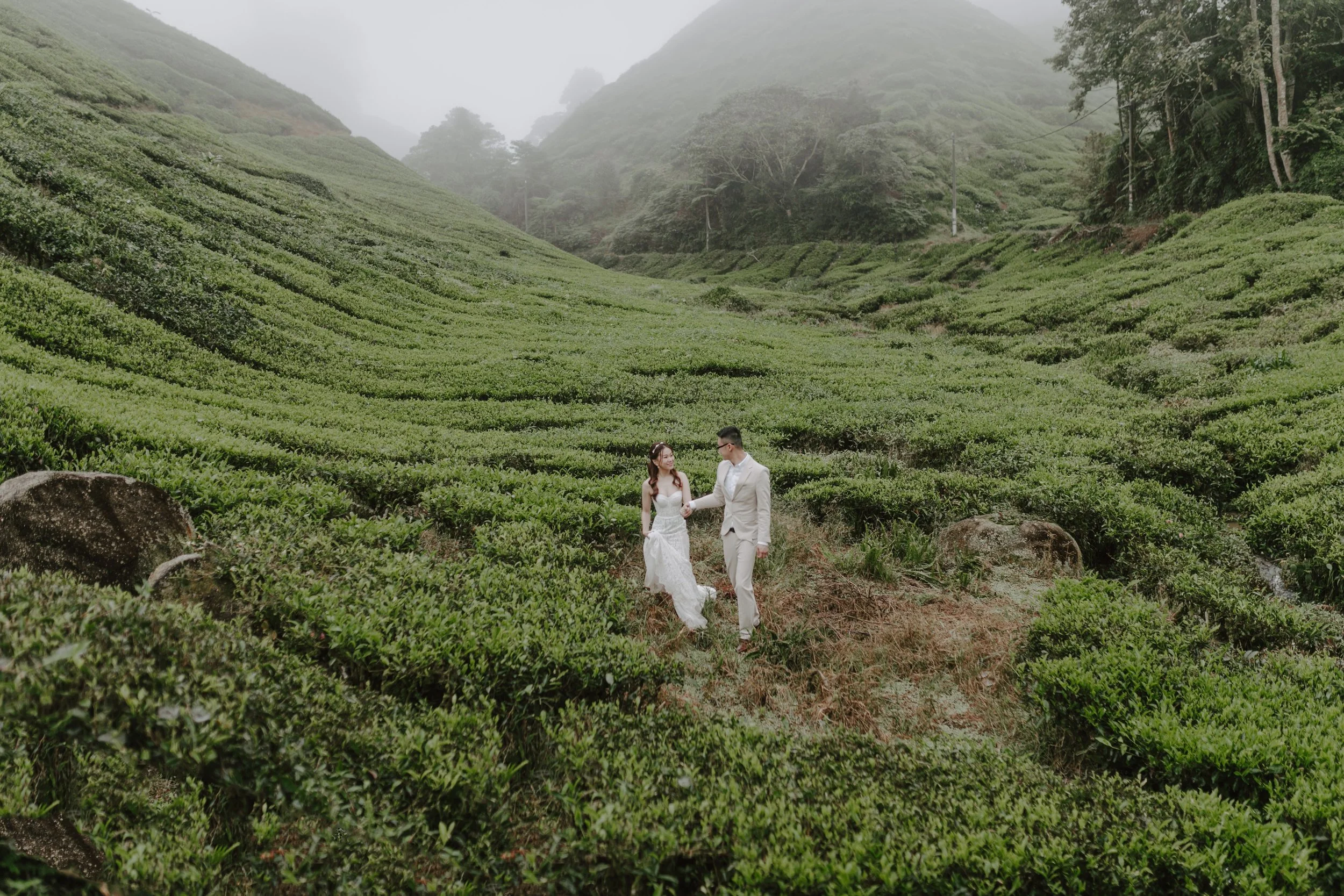 cameron highland pre wedding-johnhophotography (51).jpg